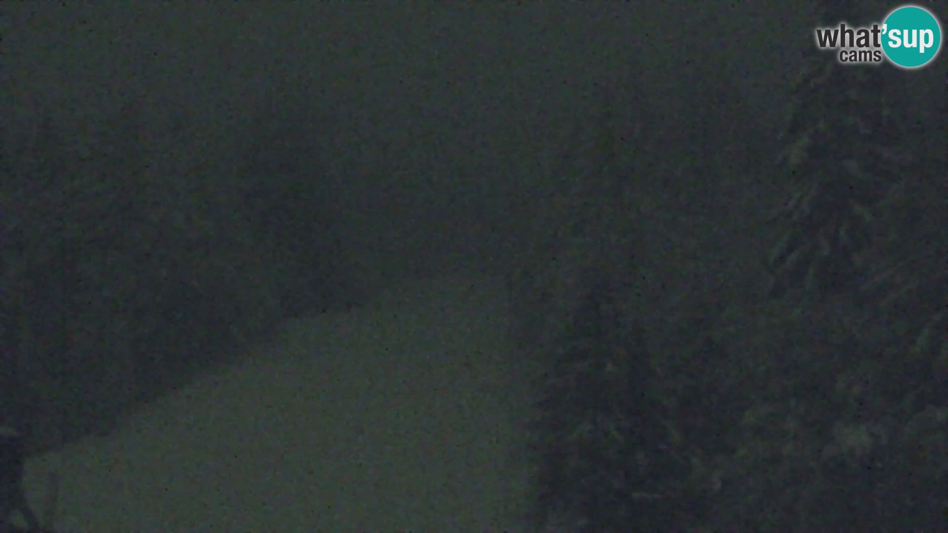 Vitranc Kranjska Gora webcam | VITRANC 1 stazione superiore