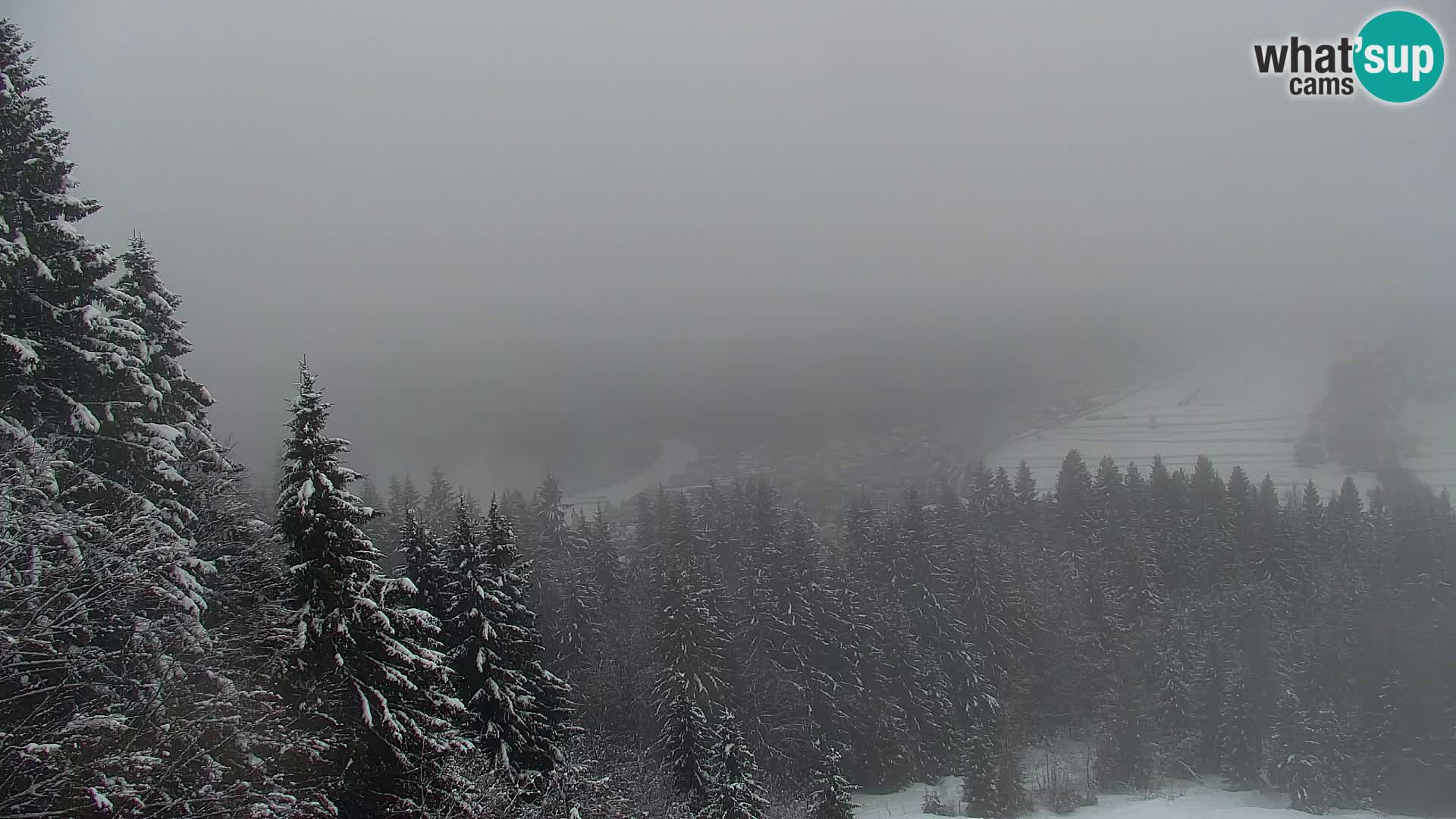 Kranjska Gora kamera VITRANC 1 | Zgornja postaja
