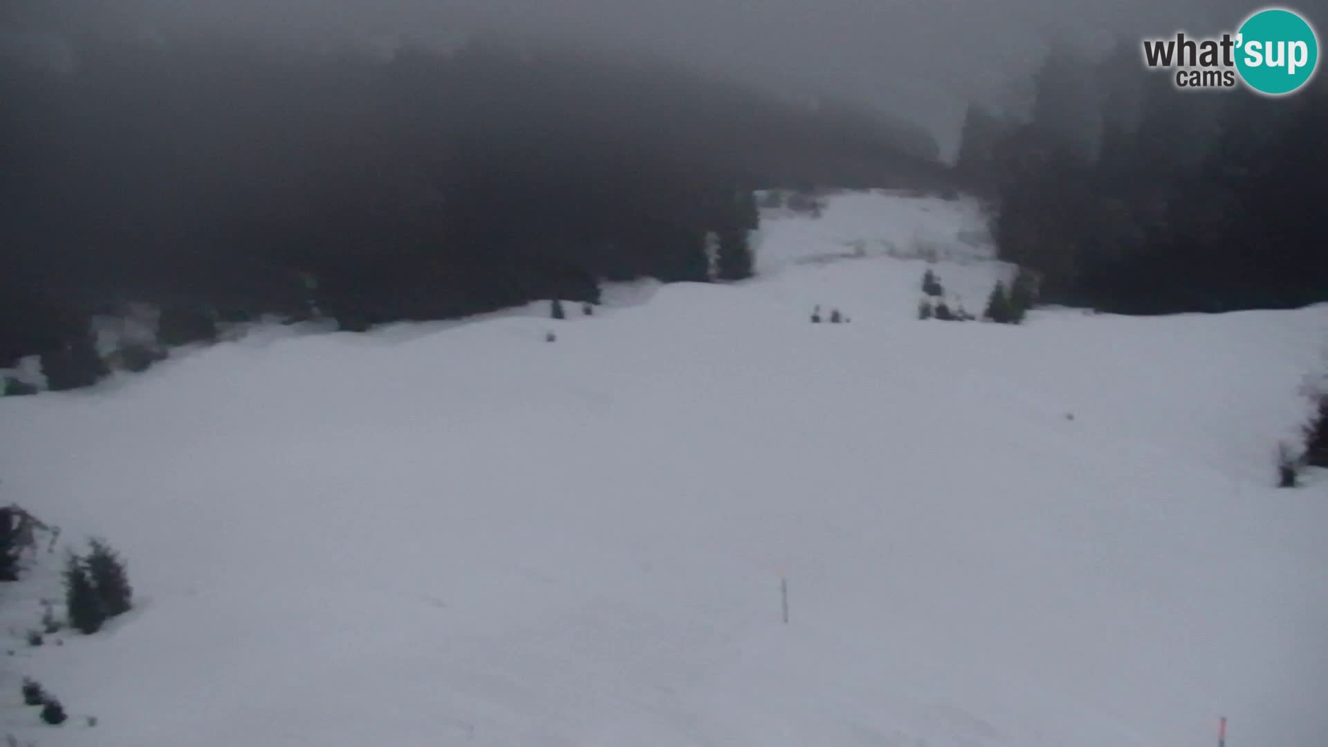 Kranjska Gora livecam VITRANC 1 | estación superior