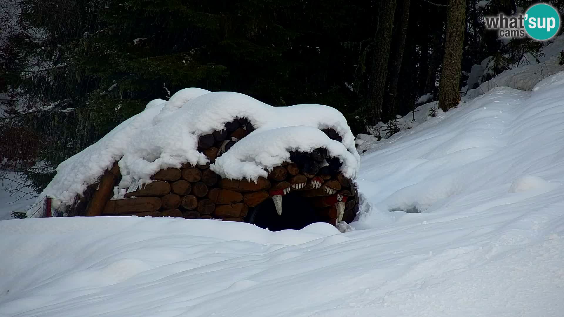 Ski Resort Kranjska Gora | VITRANC 1 upper station