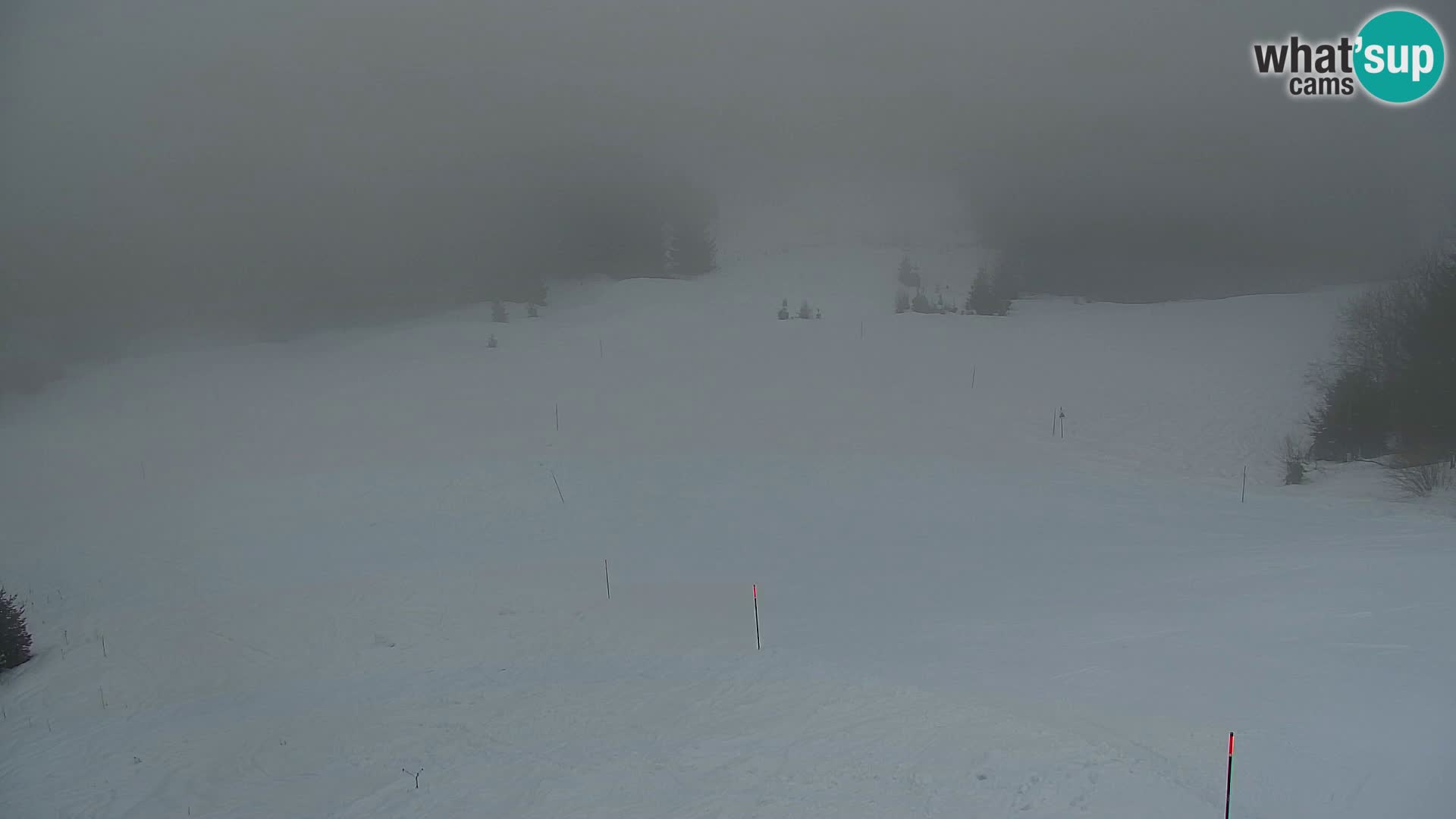 Vitranc Kranjska Gora webcam | VITRANC 1 stazione superiore