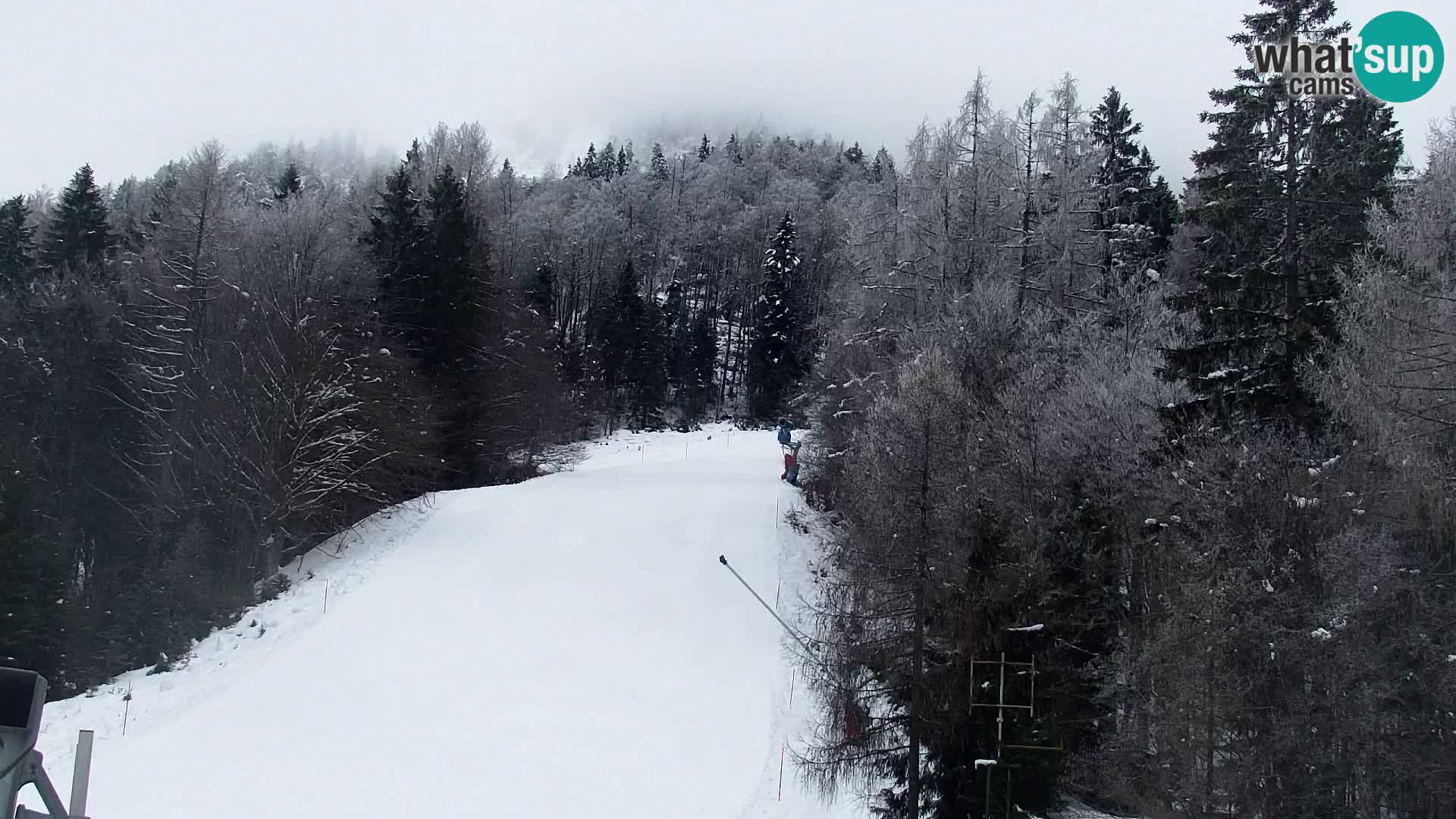 Kranjska Gora web kamera Vitranc | VITRANC 1 gornja postaja
