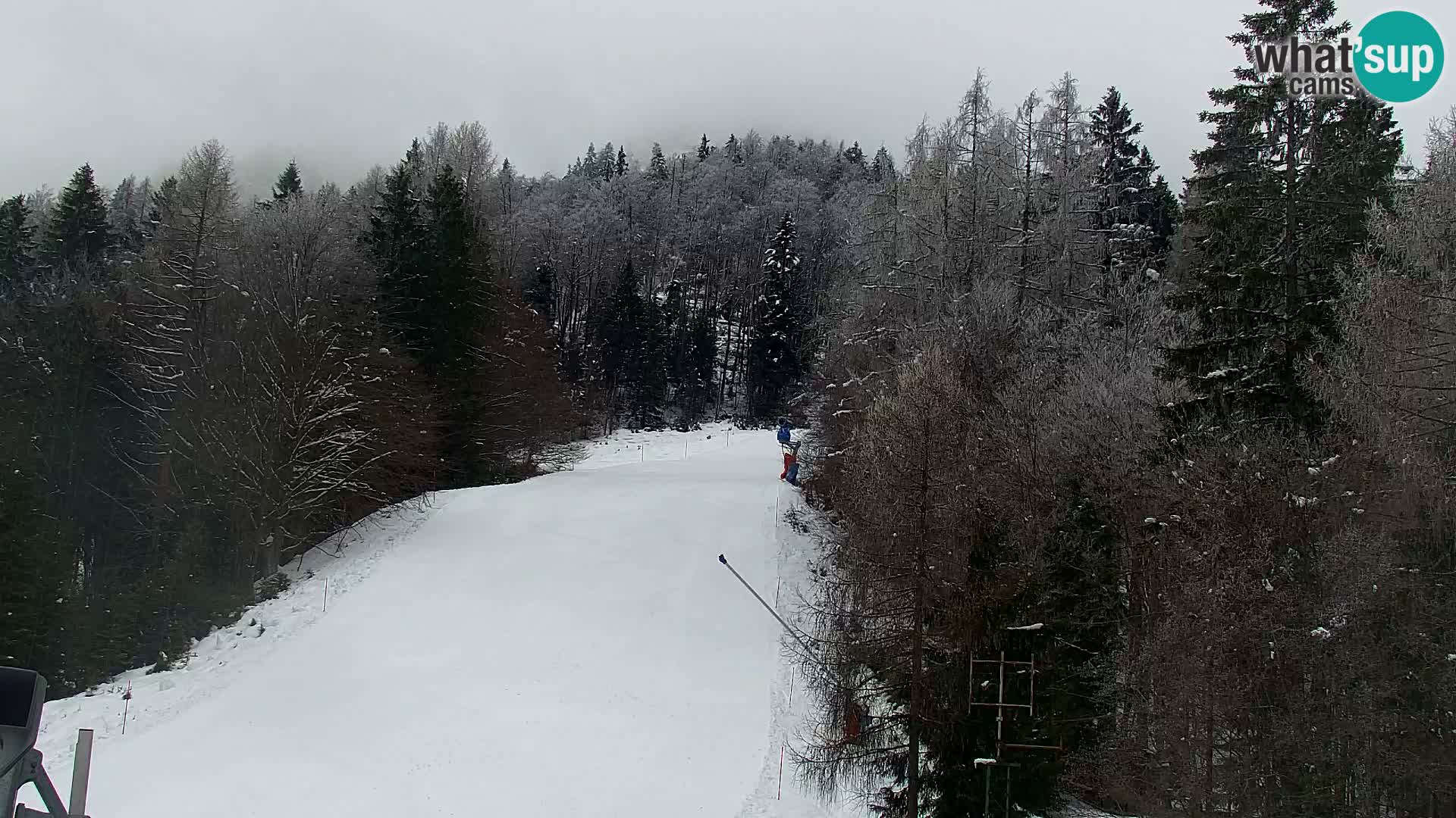Estación de esquí Kranjska Gora | Estación superior VITRANC 1