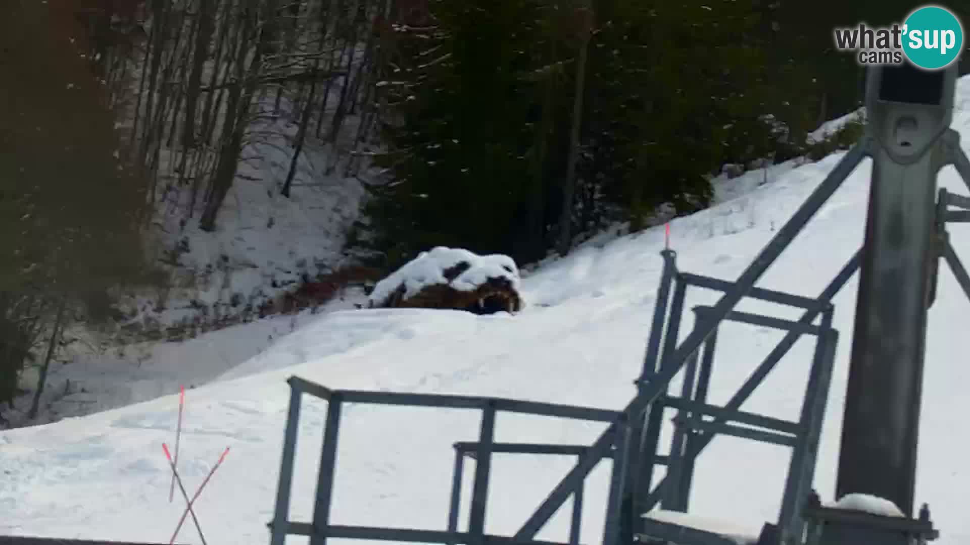 Kranjska Gora livecam VITRANC 1 | estación superior