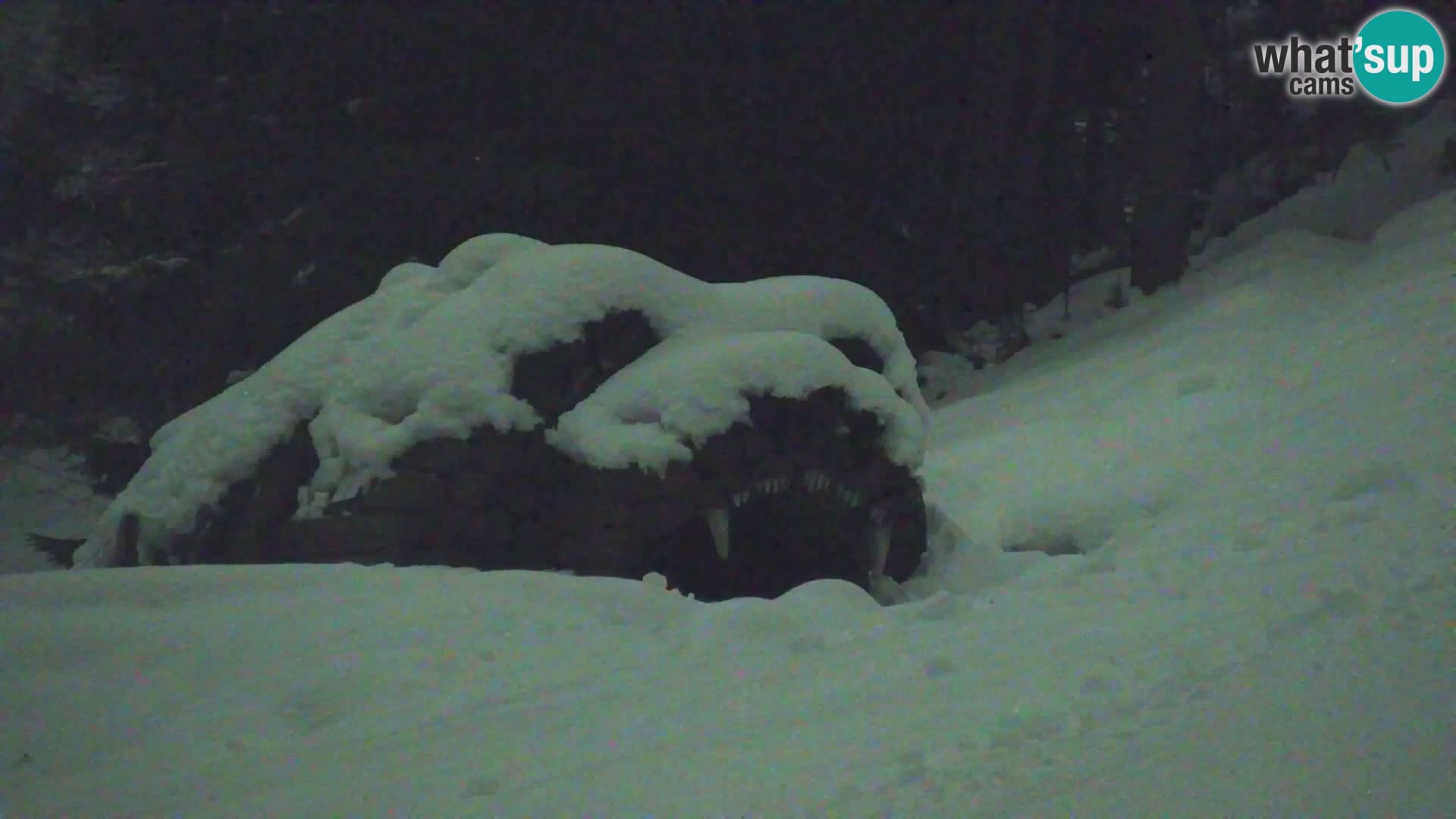 Vitranc Kranjska Gora webcam | VITRANC 1 stazione superiore