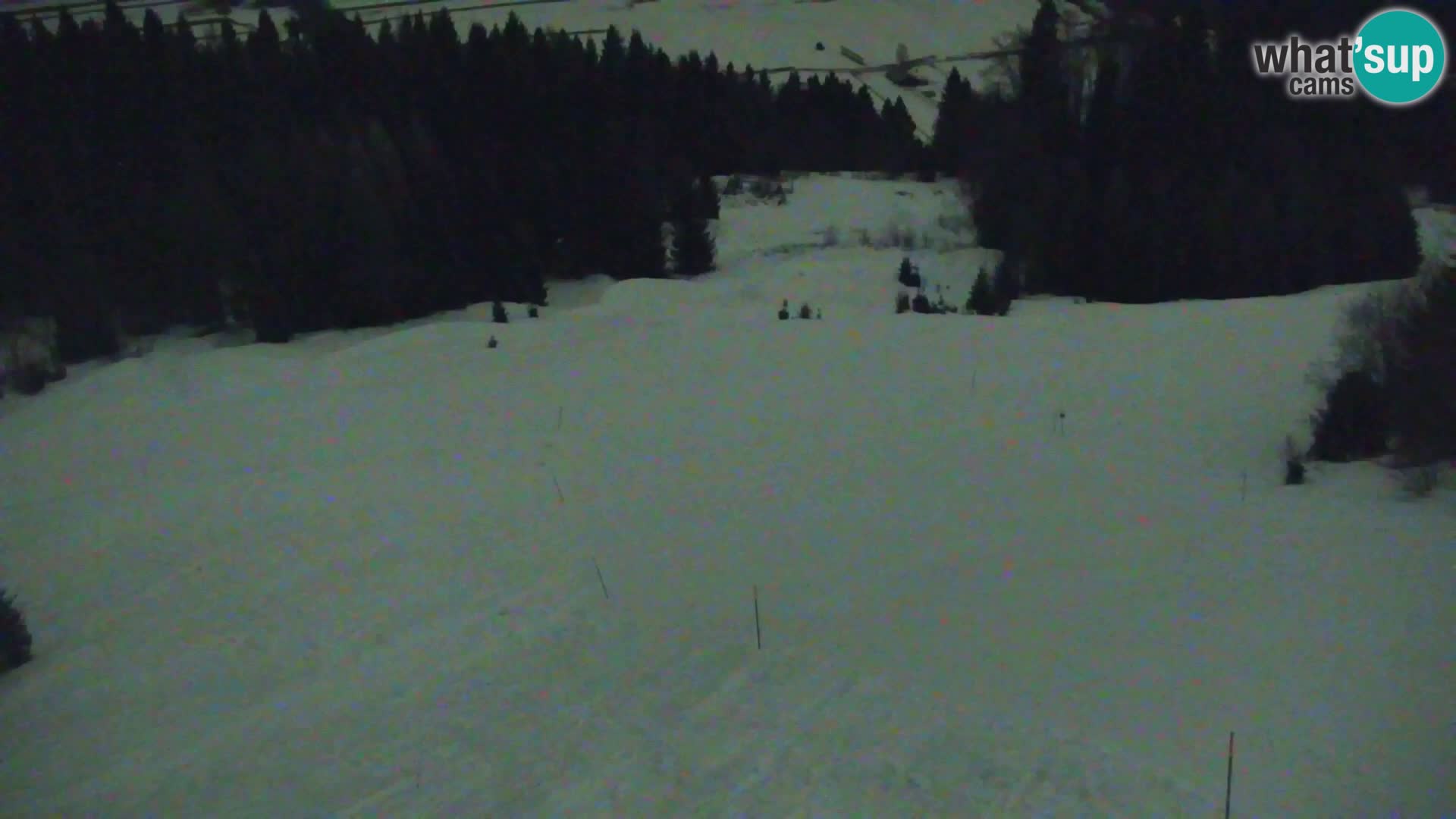 Vitranc Kranjska Gora webcam | VITRANC 1 stazione superiore