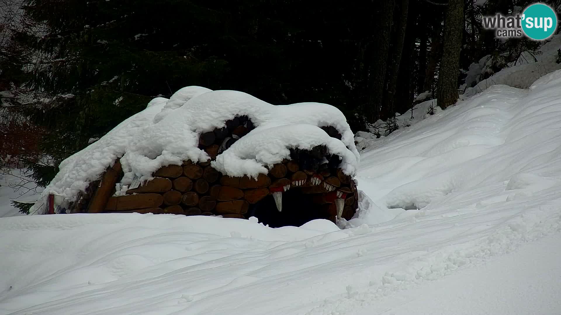 Kranjska Gora kamera VITRANC 1 | Zgornja postaja