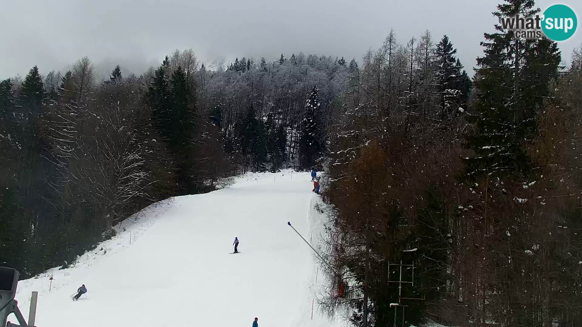 Kranjska Gora web kamera Vitranc | VITRANC 1 gornja postaja