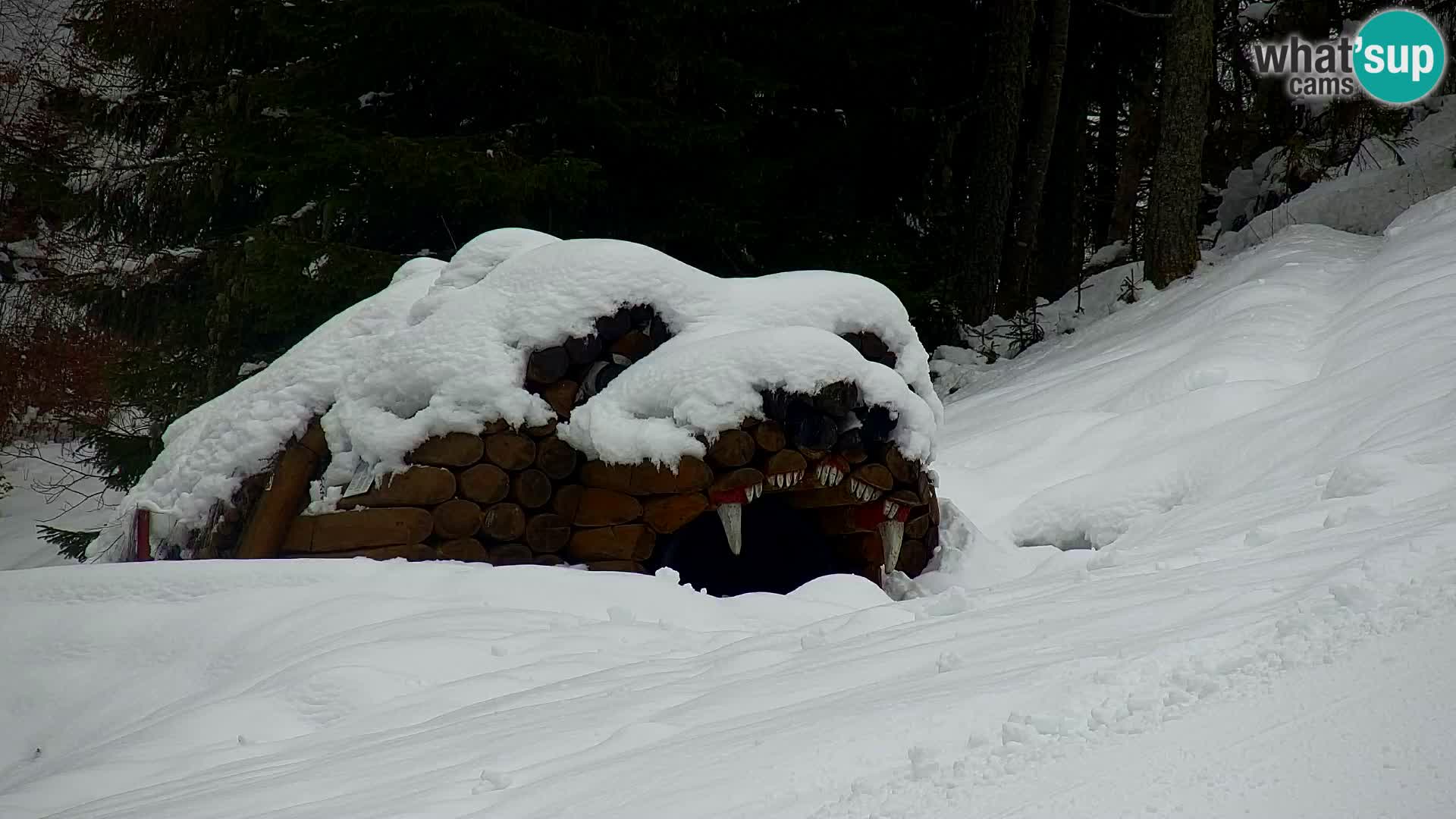 Kranjska Gora web kamera Vitranc | VITRANC 1 gornja postaja