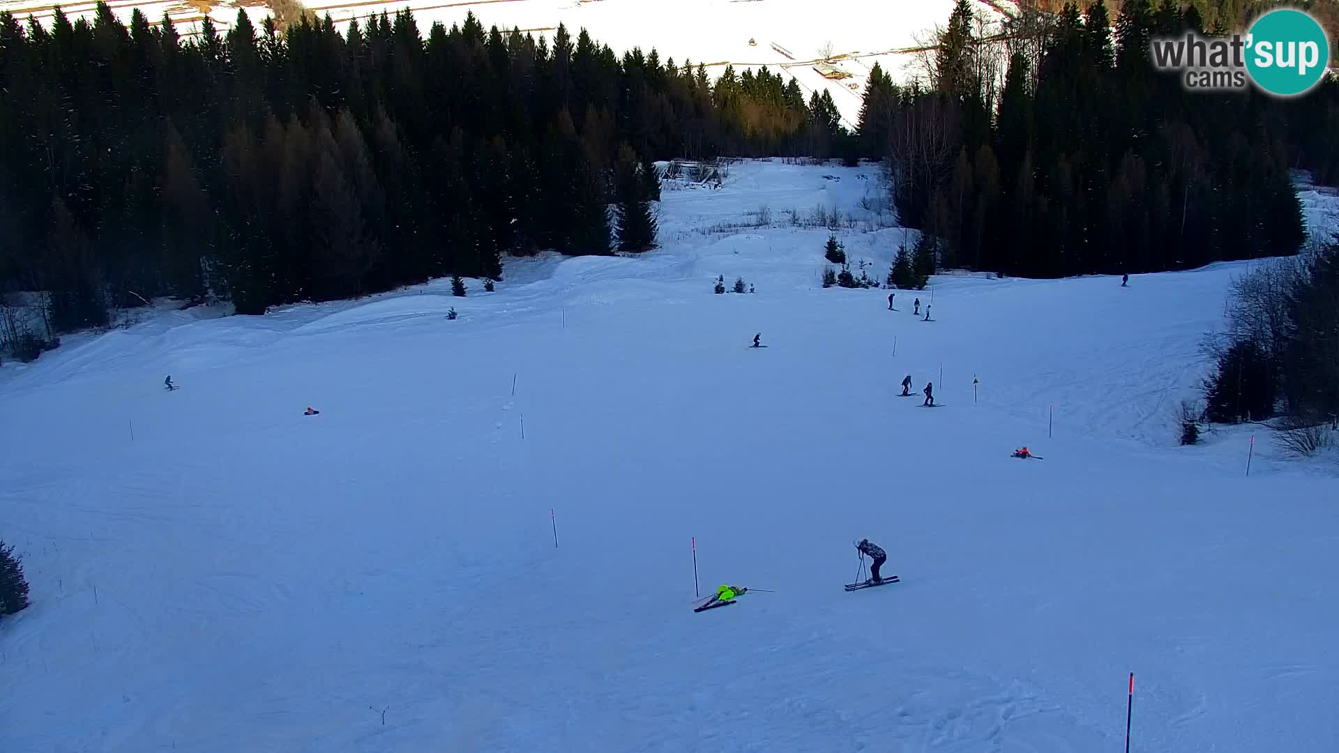Vitranc Kranjska Gora webcam | VITRANC 1 stazione superiore