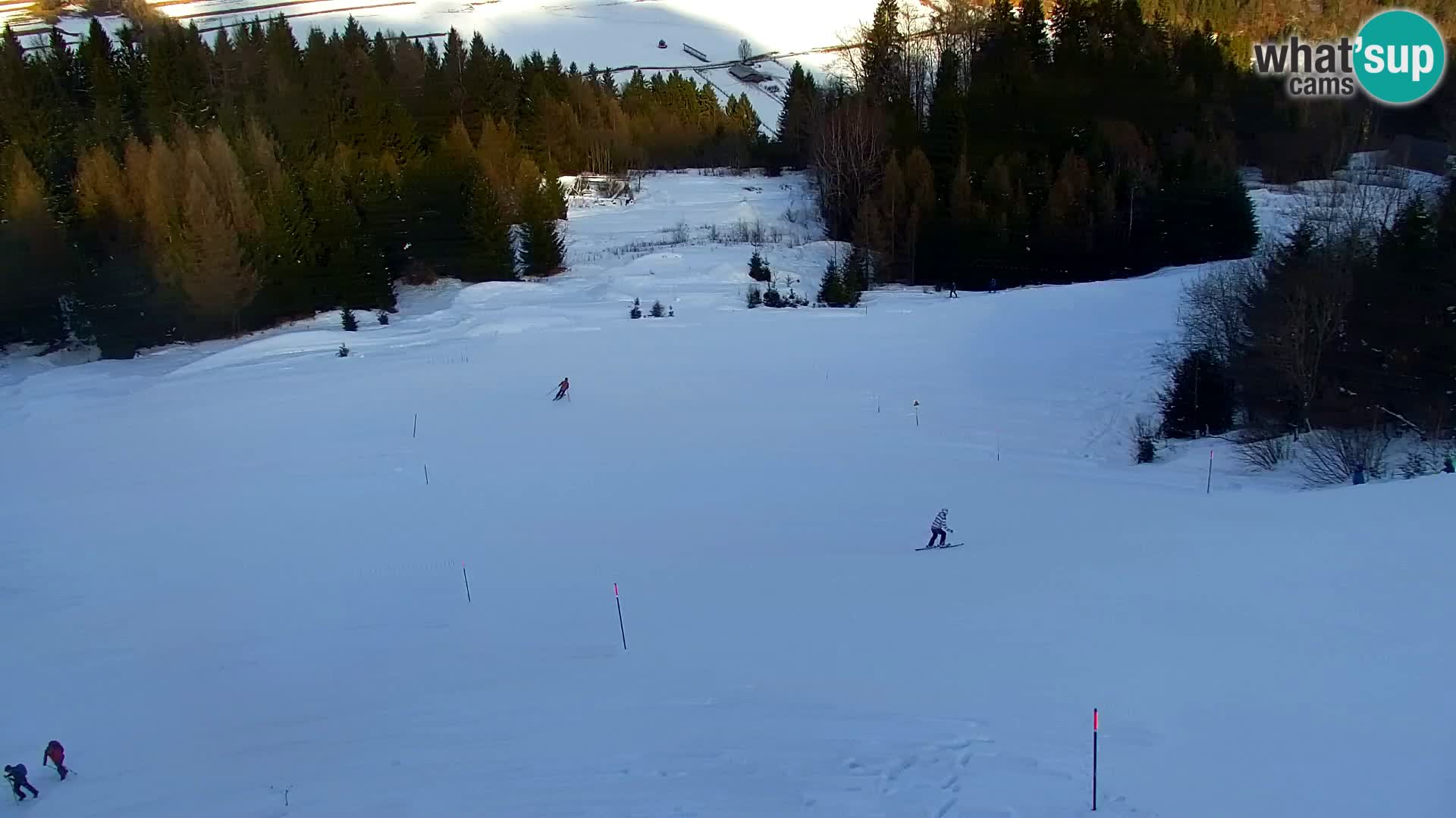 Kranjska Gora web kamera Vitranc | VITRANC 1 gornja postaja