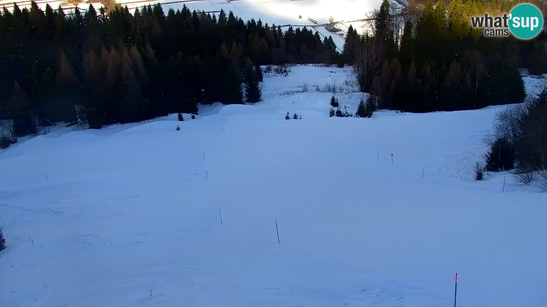 Vitranc Kranjska Gora webcam | VITRANC 1 stazione superiore