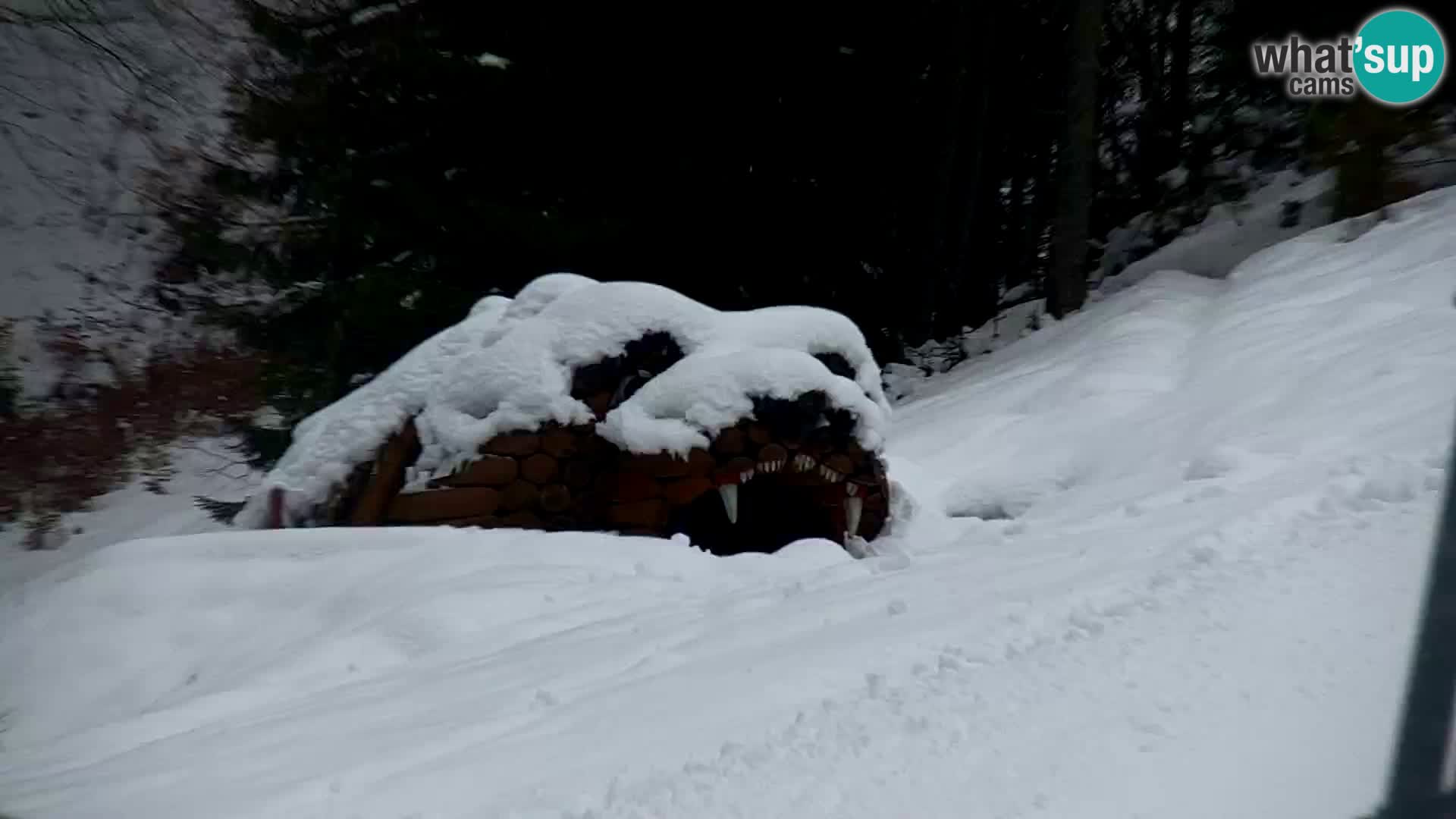 Kranjska Gora kamera VITRANC 1 | Zgornja postaja