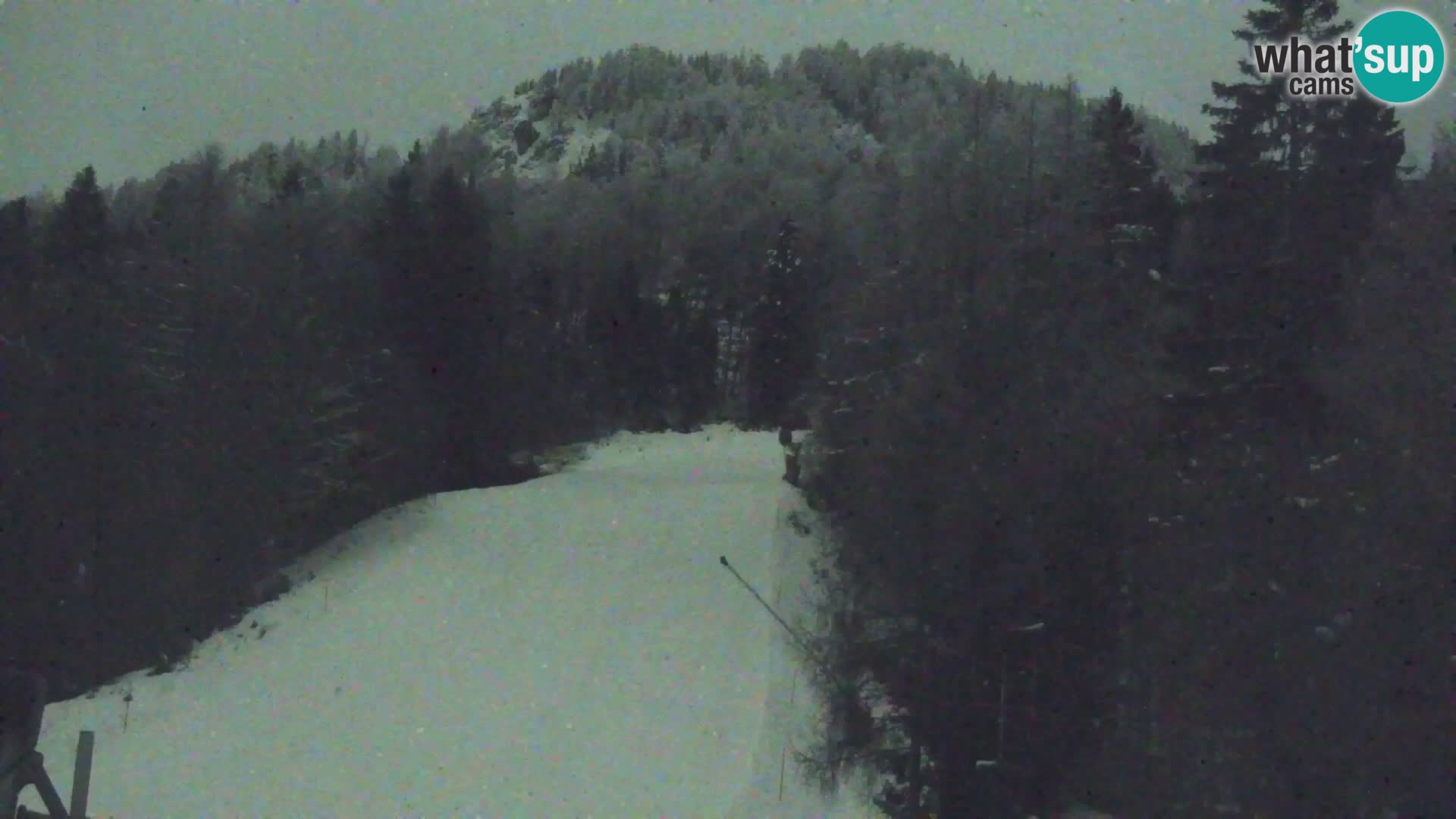 Vitranc Kranjska Gora webcam | VITRANC 1 stazione superiore