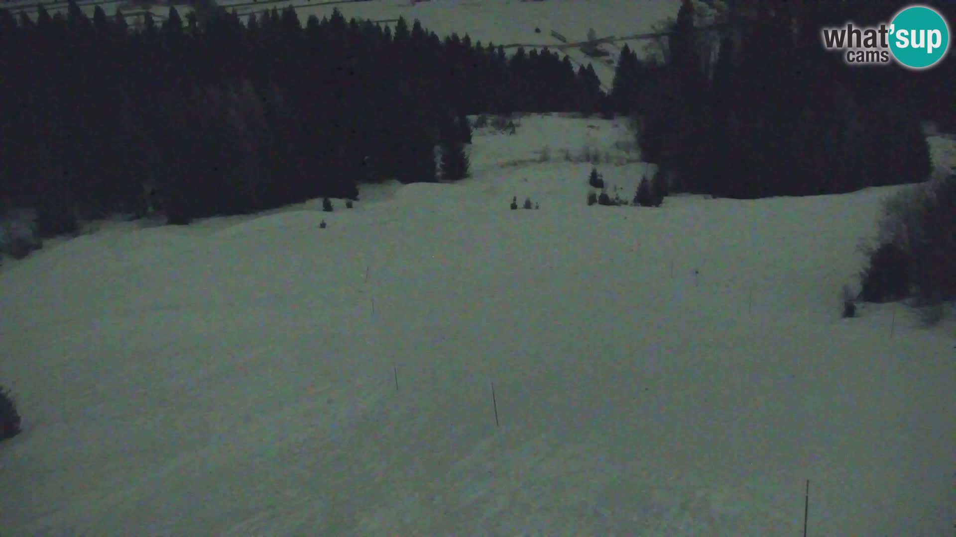 Vitranc Kranjska Gora webcam | VITRANC 1 stazione superiore