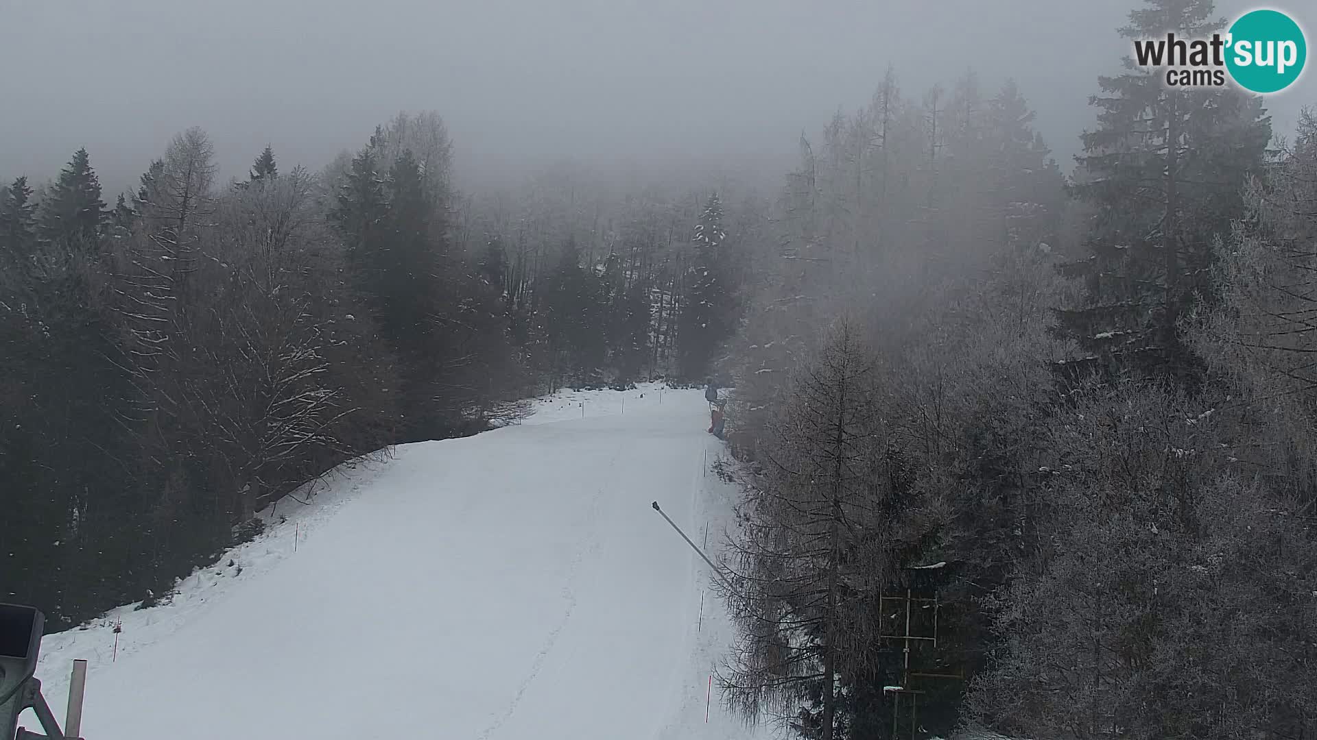 Kranjska Gora webcam VITRANC 1 | obere Station