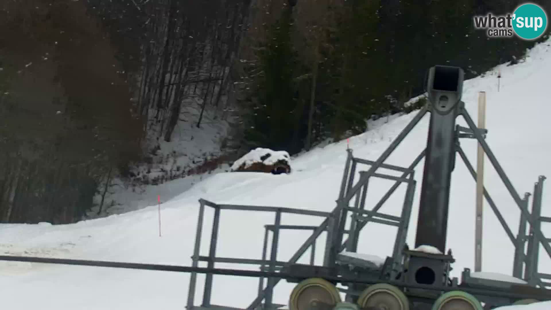 Kranjska Gora kamera VITRANC 1 | Zgornja postaja