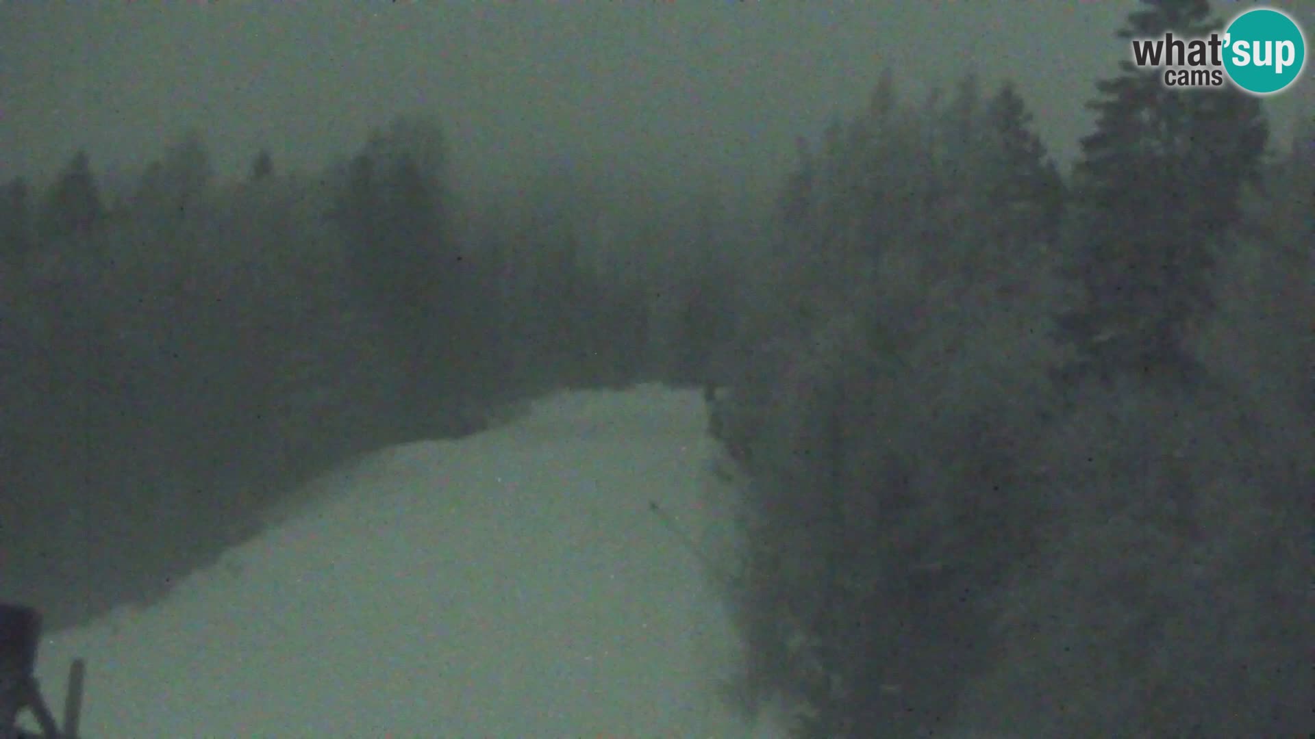 Vitranc Kranjska Gora webcam | VITRANC 1 stazione superiore