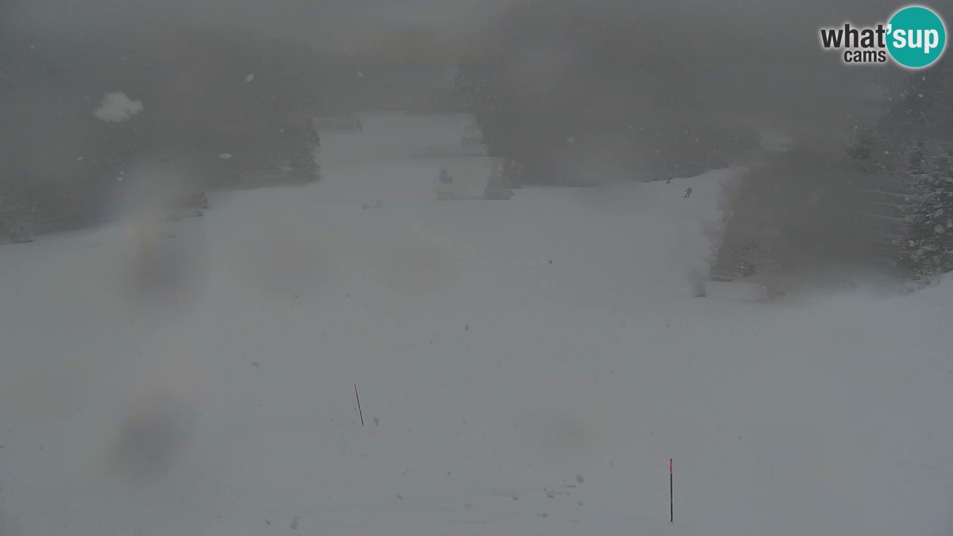 Kranjska Gora kamera VITRANC 1 | Zgornja postaja