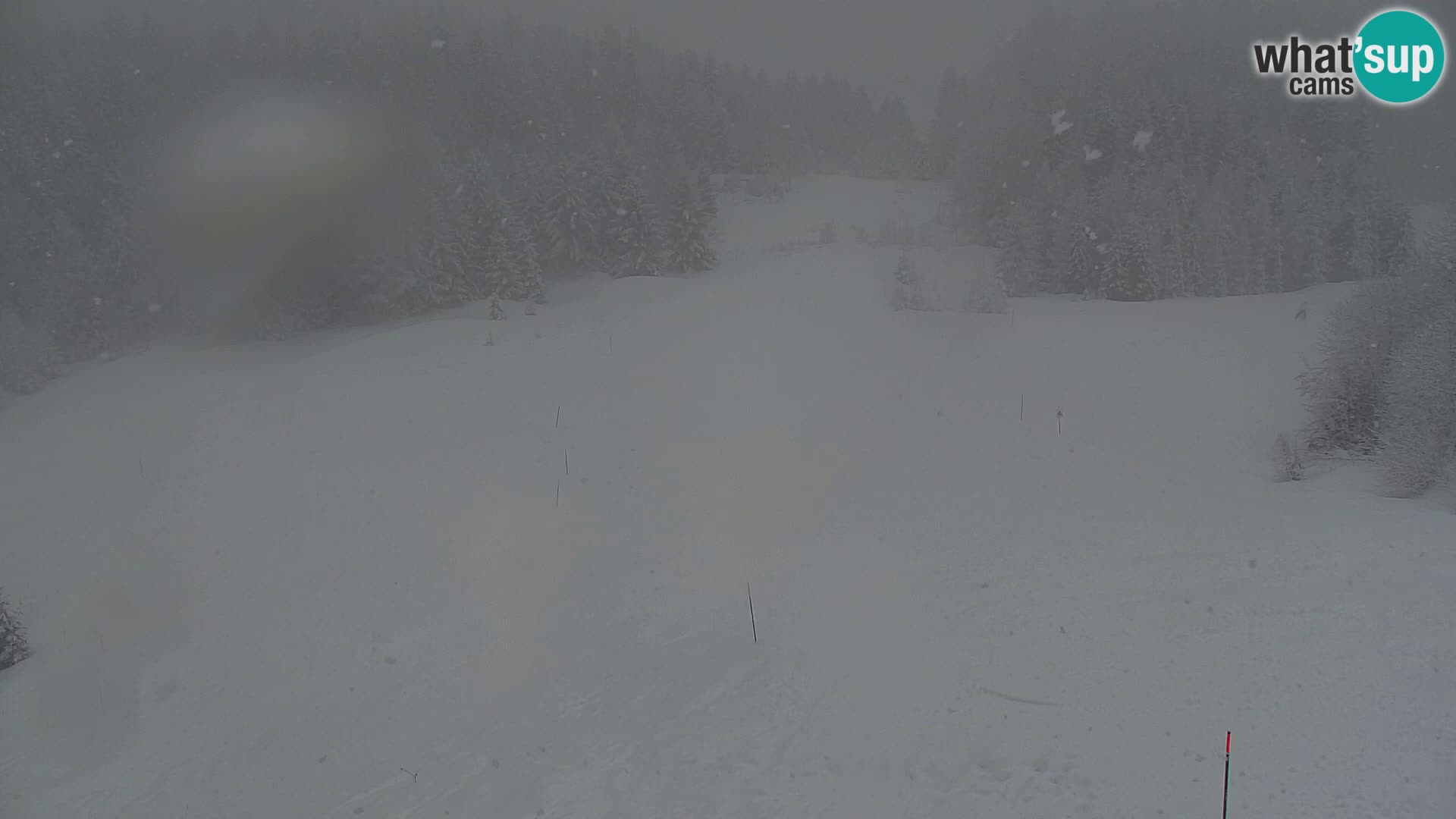 Kranjska Gora web kamera Vitranc | VITRANC 1 gornja postaja