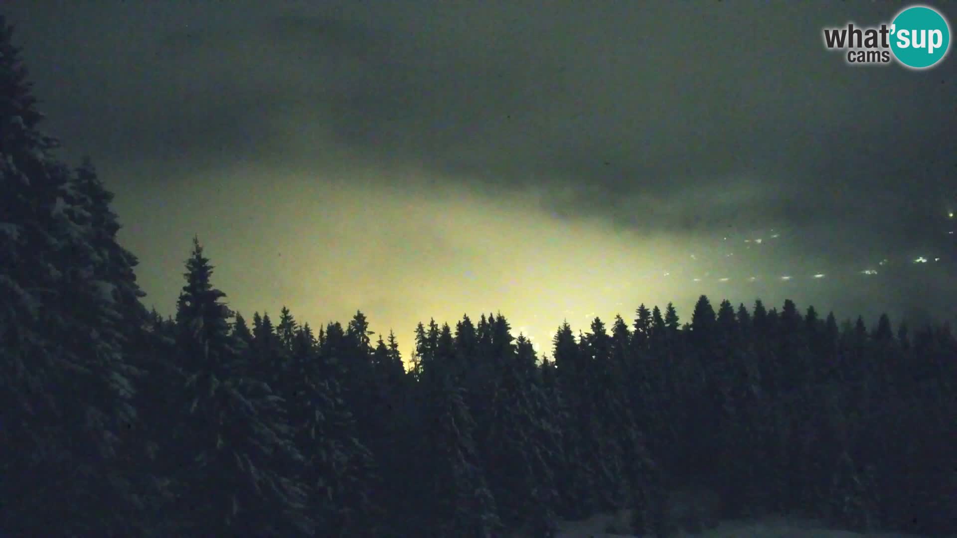 Vitranc Kranjska Gora webcam | VITRANC 1 stazione superiore