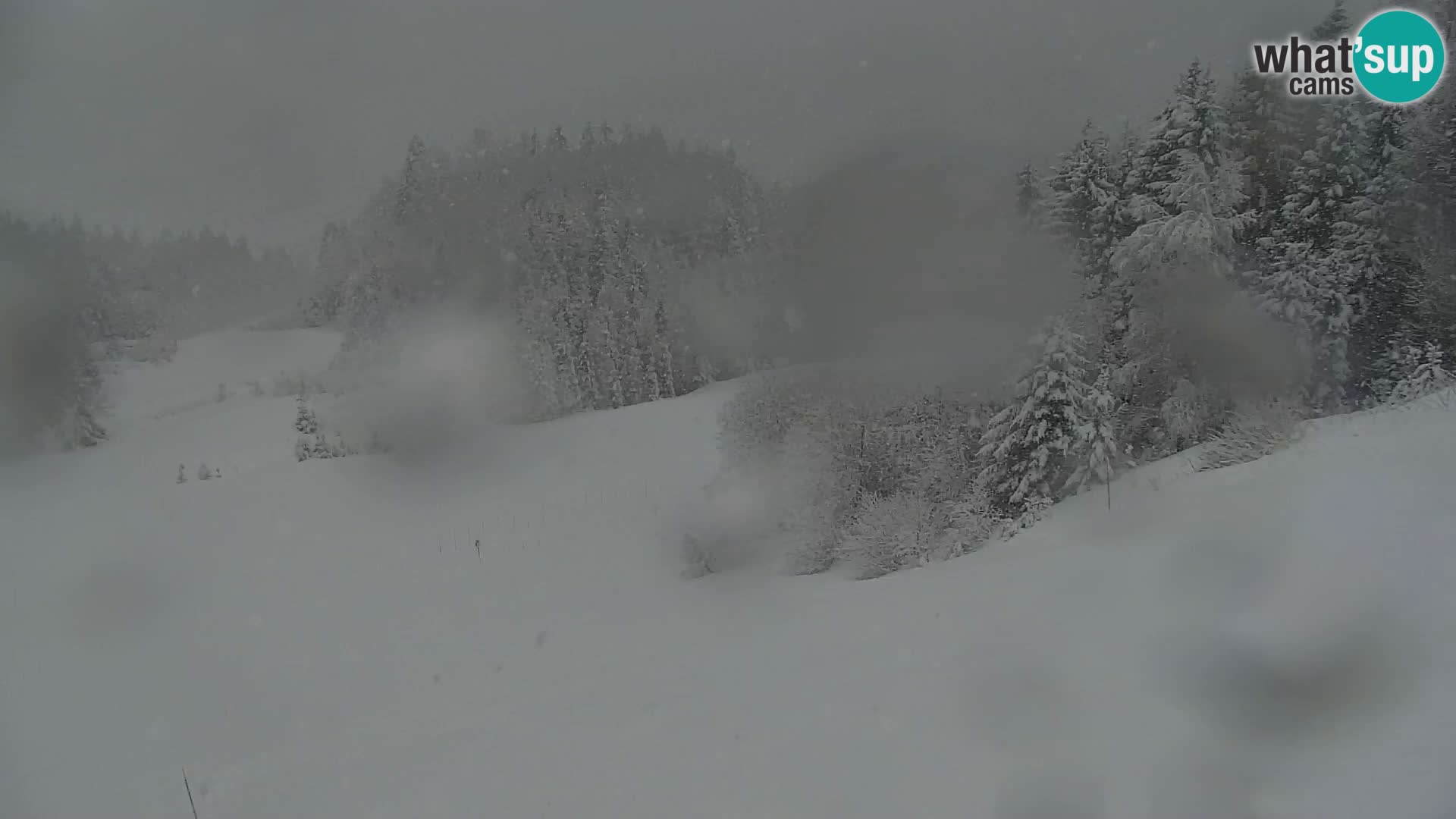 Kranjska Gora web kamera Vitranc | VITRANC 1 gornja postaja