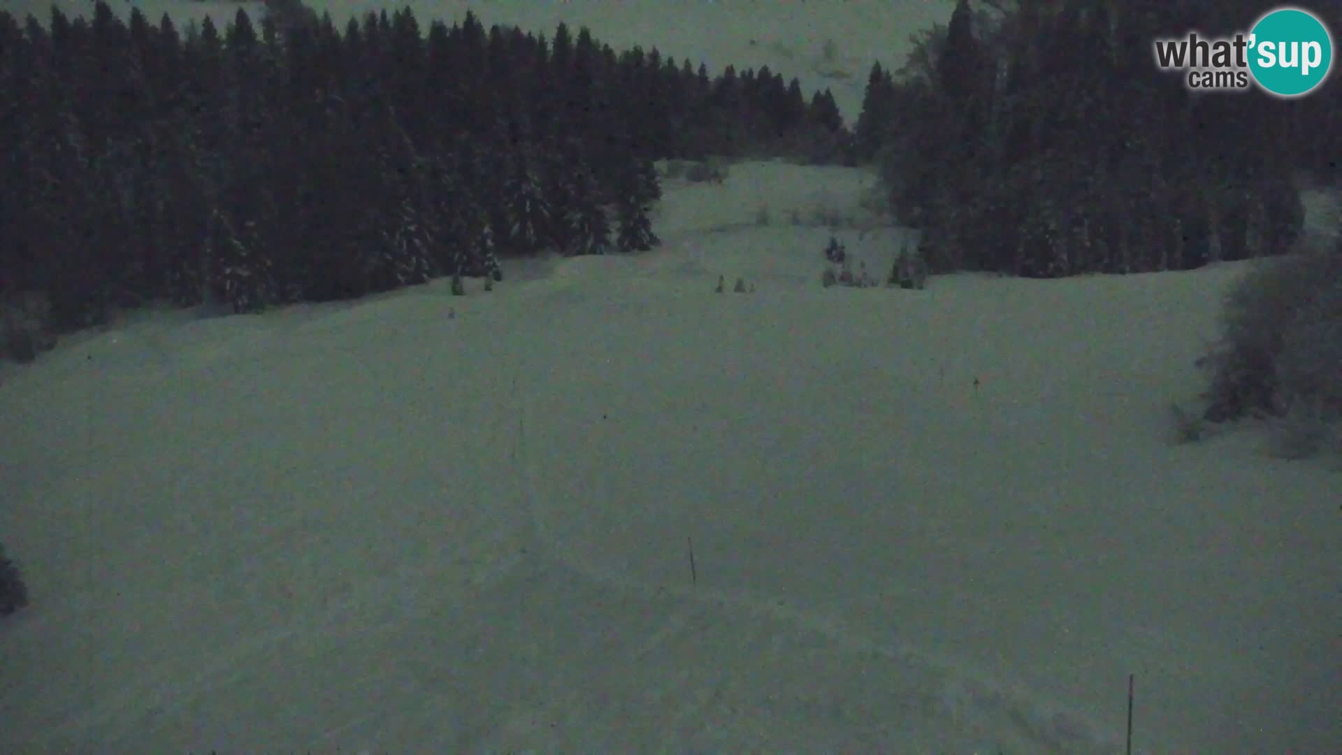 Vitranc Kranjska Gora webcam | VITRANC 1 stazione superiore