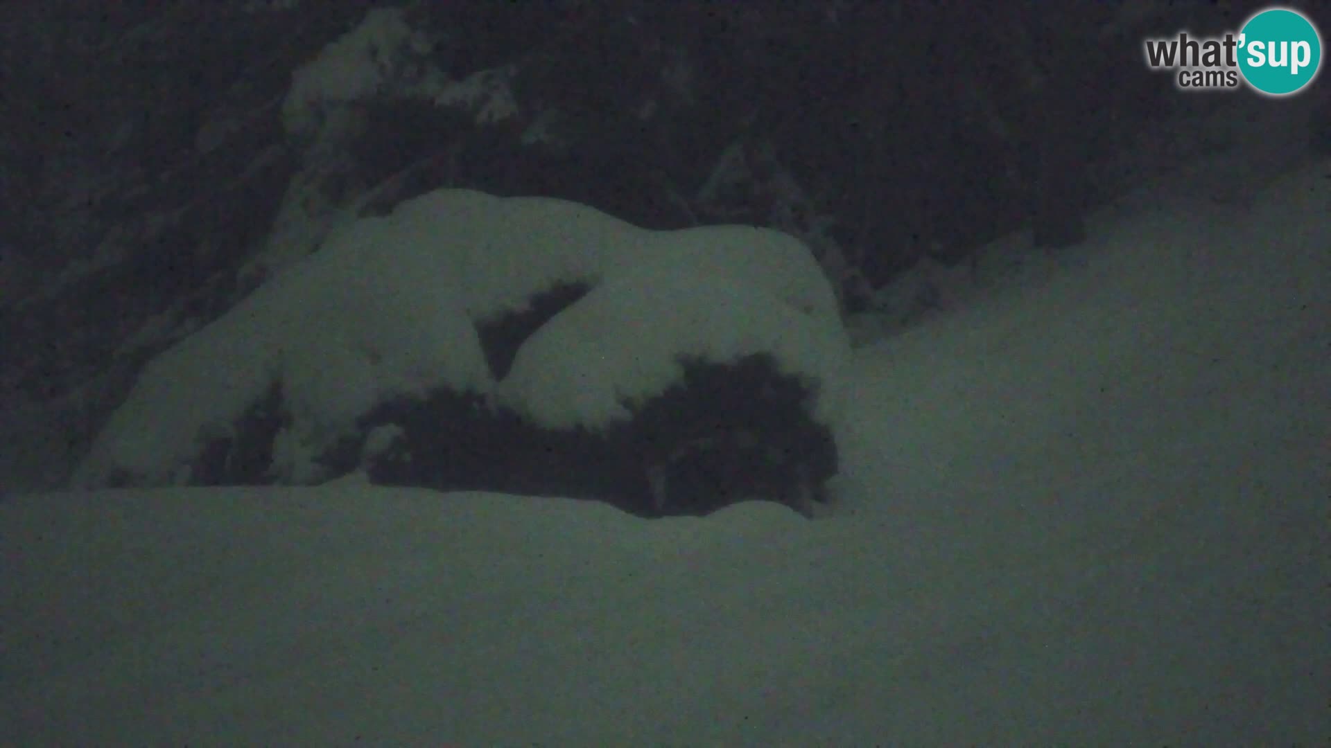 Vitranc Kranjska Gora webcam | VITRANC 1 stazione superiore