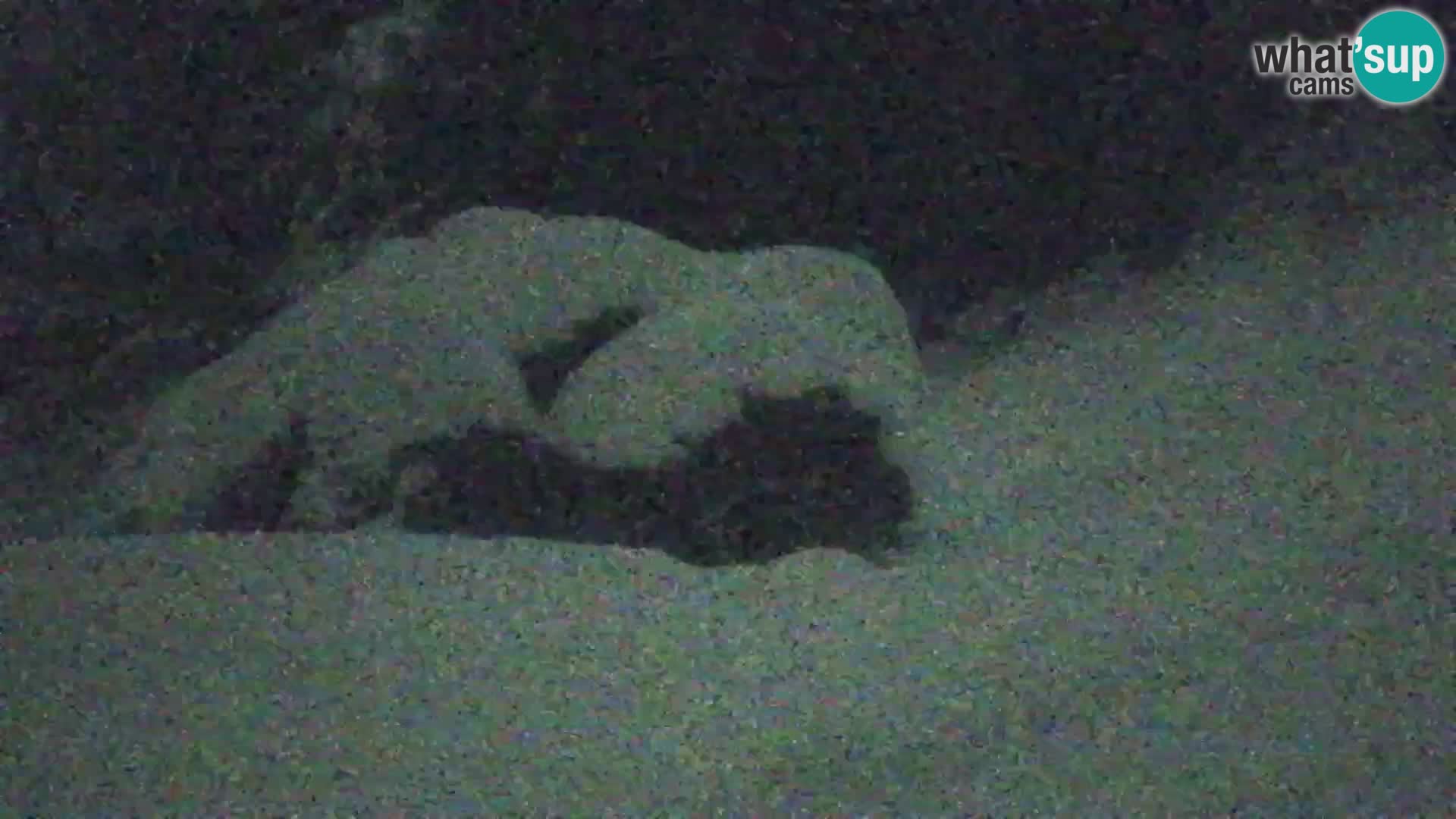 Vitranc Kranjska Gora webcam | VITRANC 1 stazione superiore