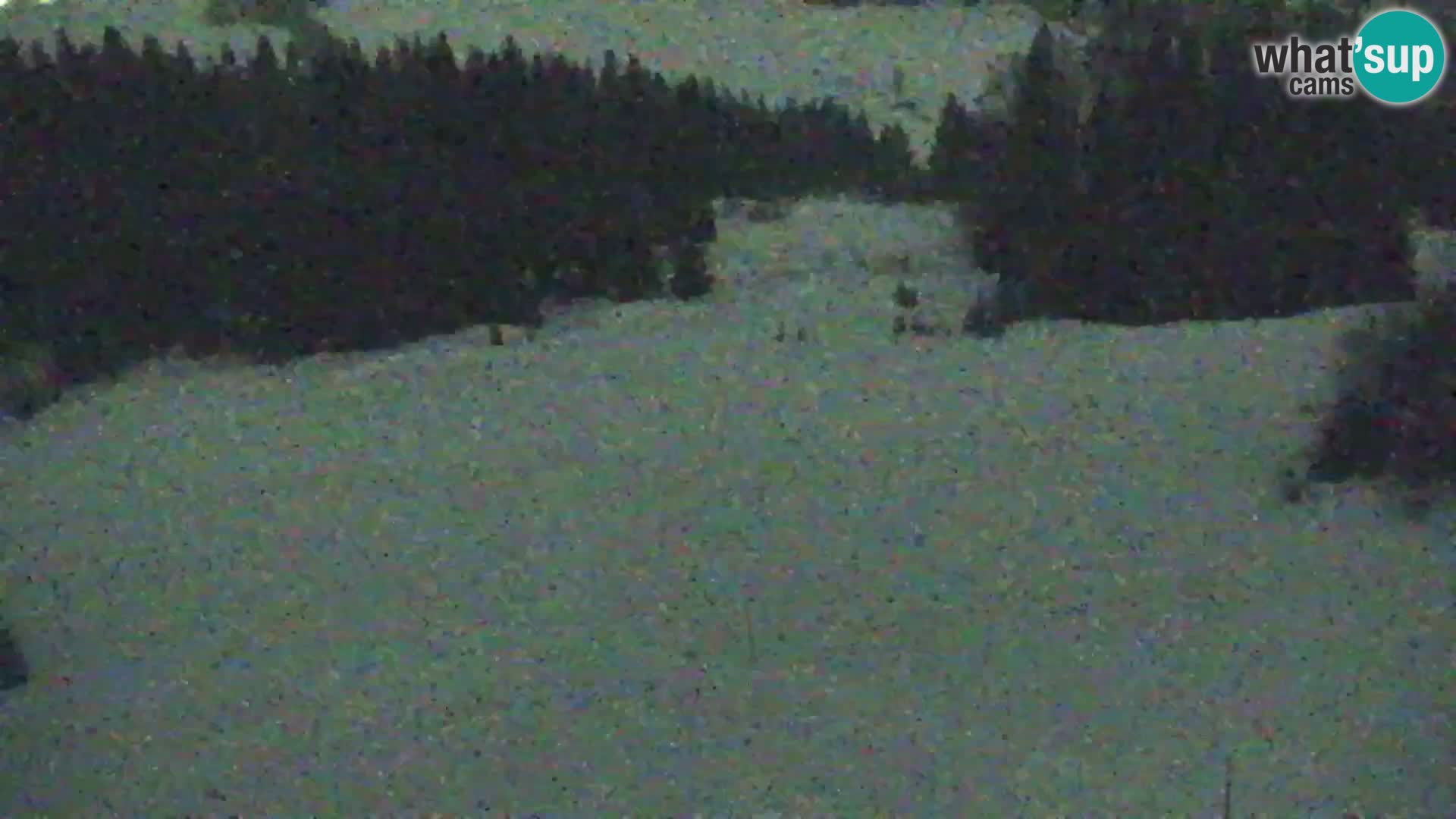 Vitranc Kranjska Gora webcam | VITRANC 1 stazione superiore