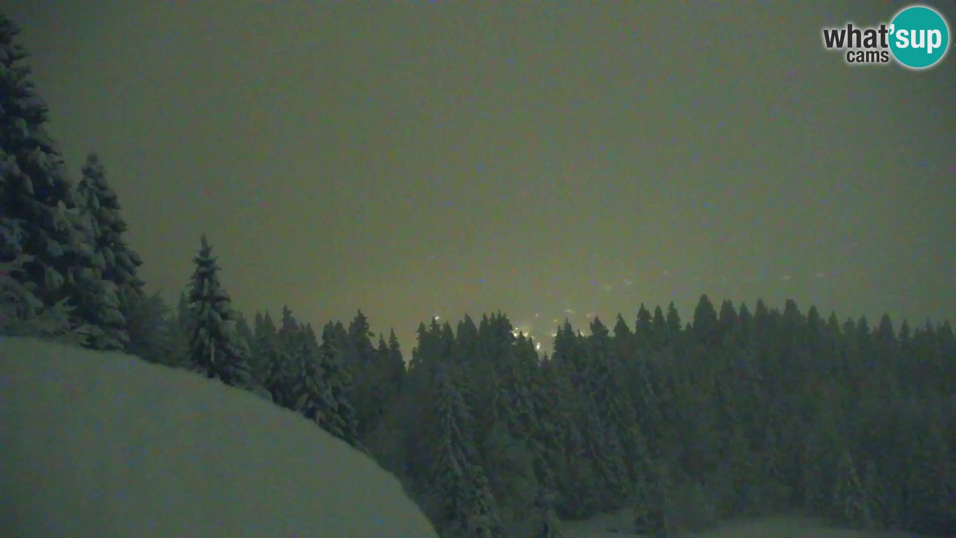 Vitranc Kranjska Gora webcam | VITRANC 1 stazione superiore