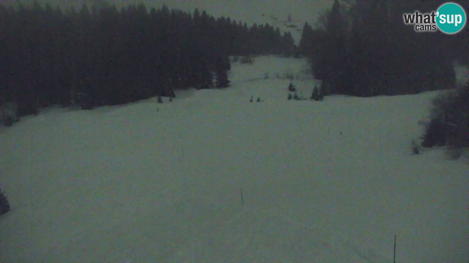 Vitranc Kranjska Gora webcam | VITRANC 1 stazione superiore