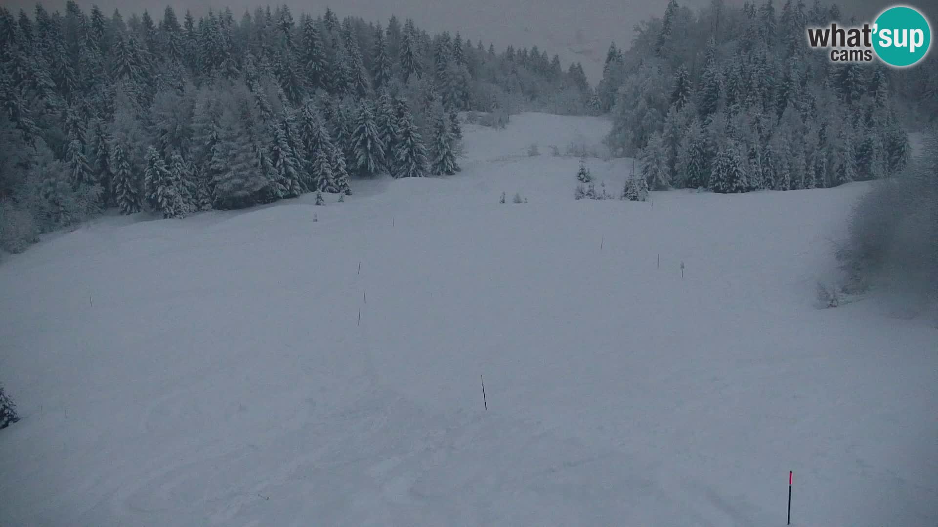 Kranjska Gora webcam VITRANC 1 | obere Station