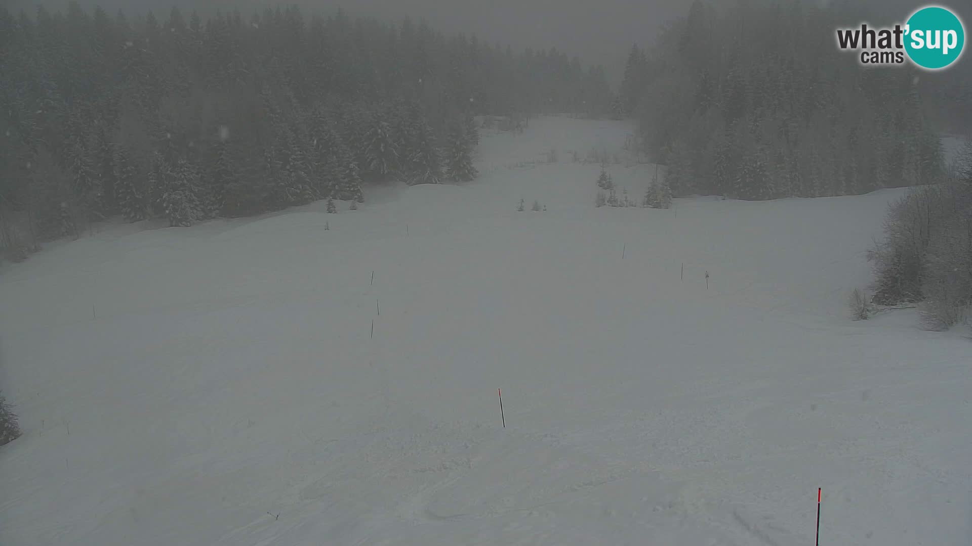 Kranjska Gora webcam VITRANC 1 | obere Station