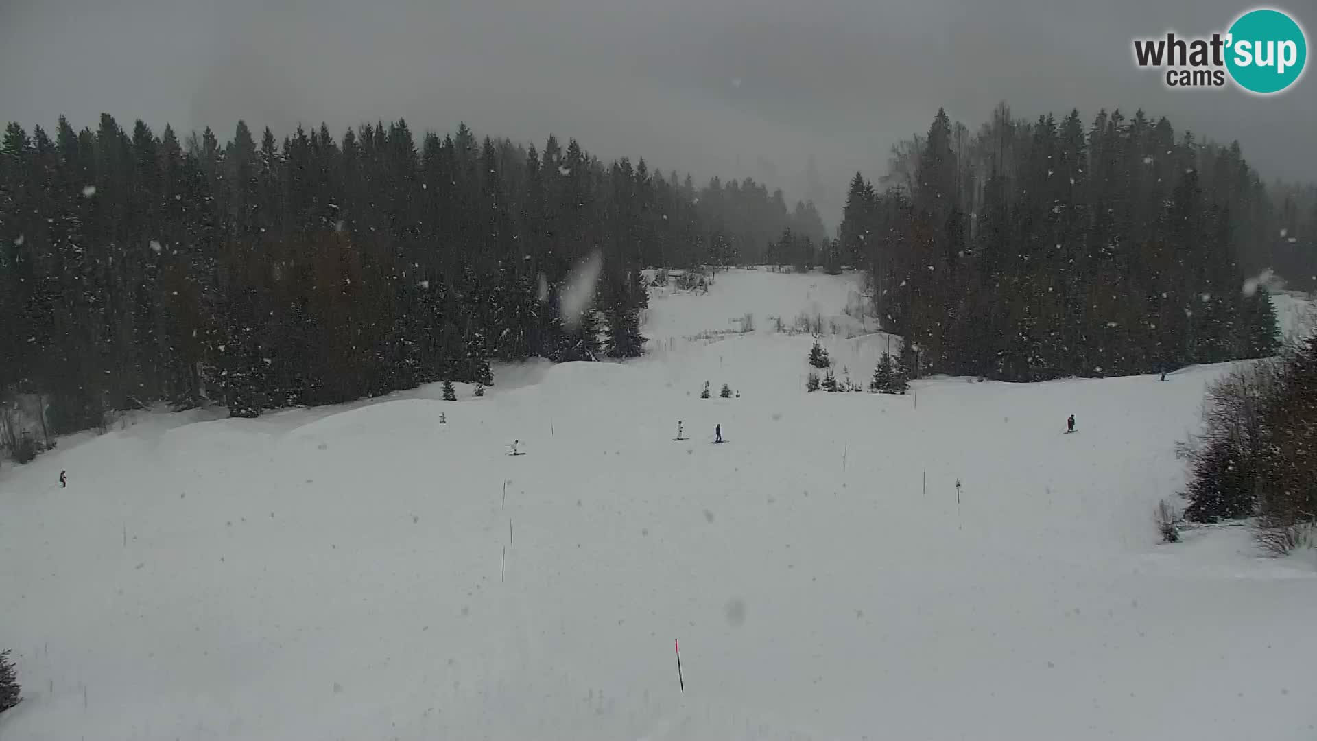 Vitranc Kranjska Gora webcam | VITRANC 1 stazione superiore
