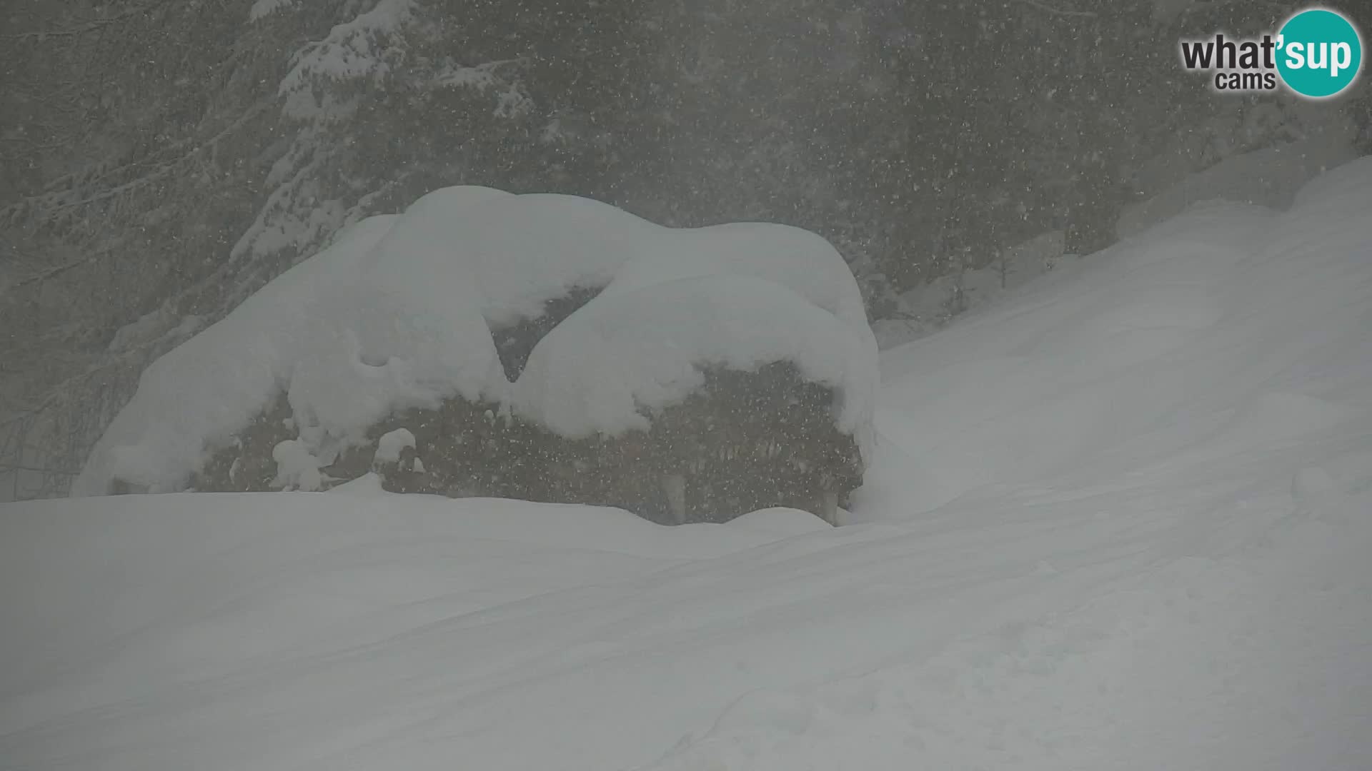 Kranjska Gora kamera VITRANC 1 | Zgornja postaja