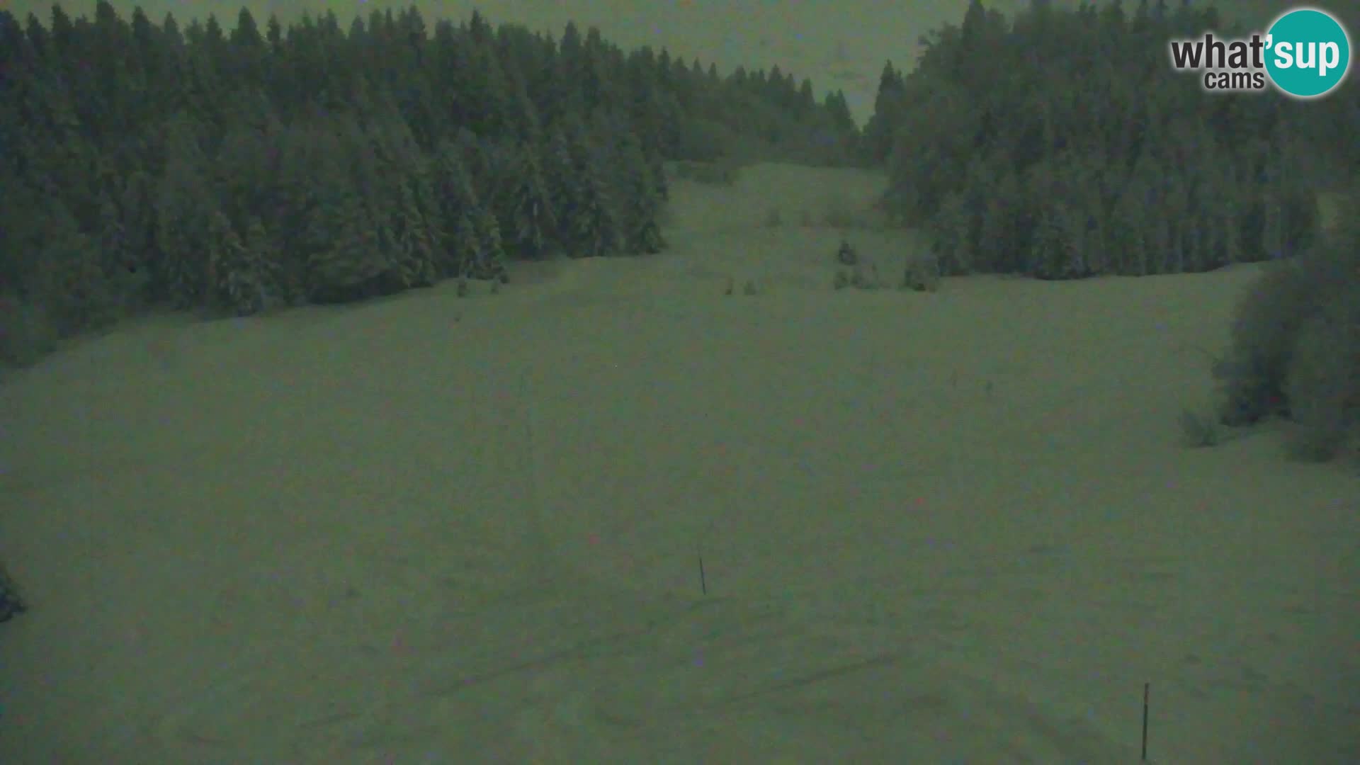 Kranjska Gora web kamera Vitranc | VITRANC 1 gornja postaja