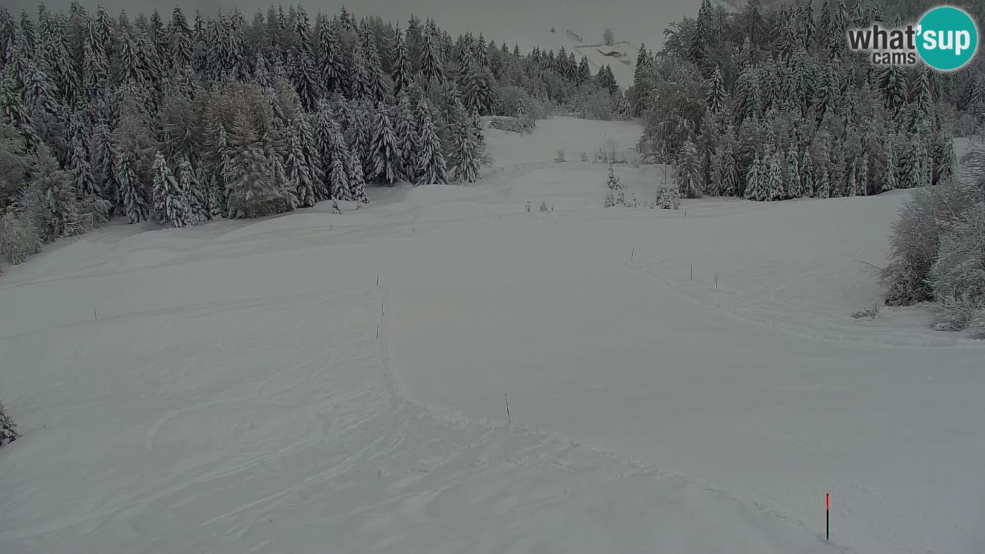 Kranjska Gora livecam VITRANC 1 | estación superior