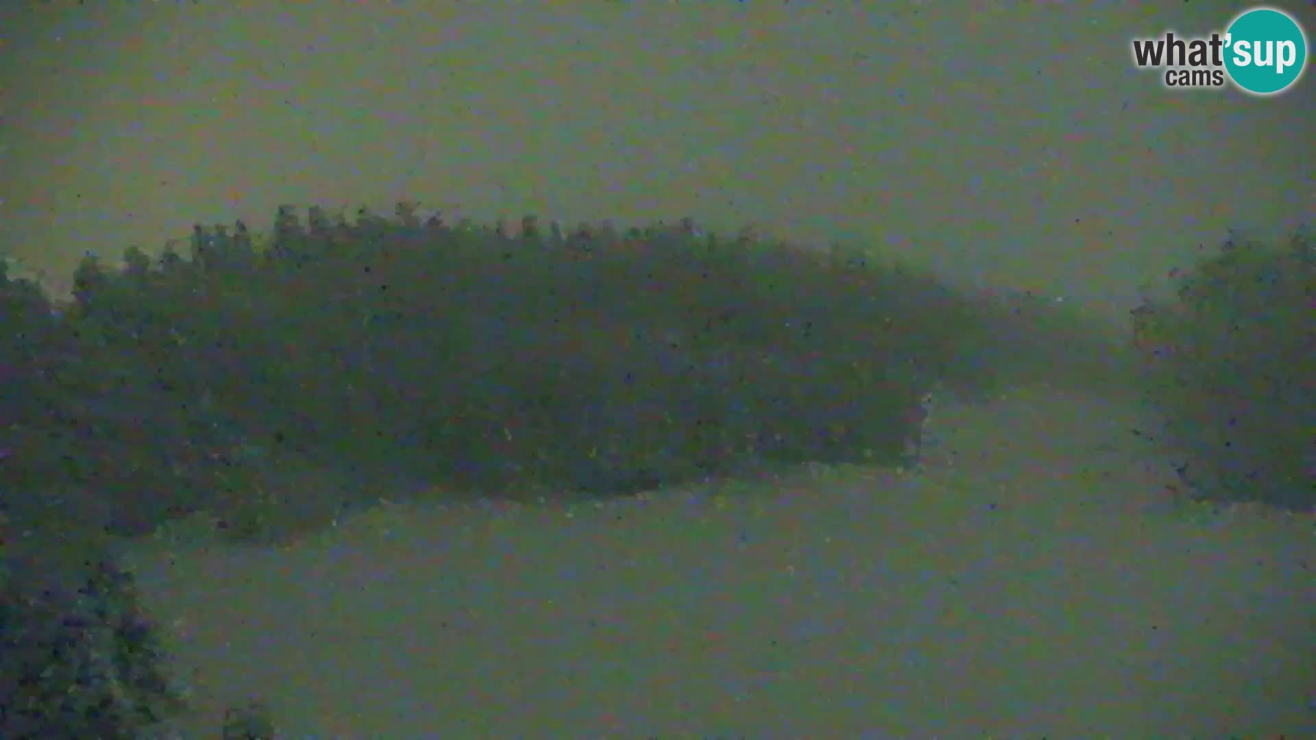 Vitranc Kranjska Gora webcam | VITRANC 1 stazione superiore