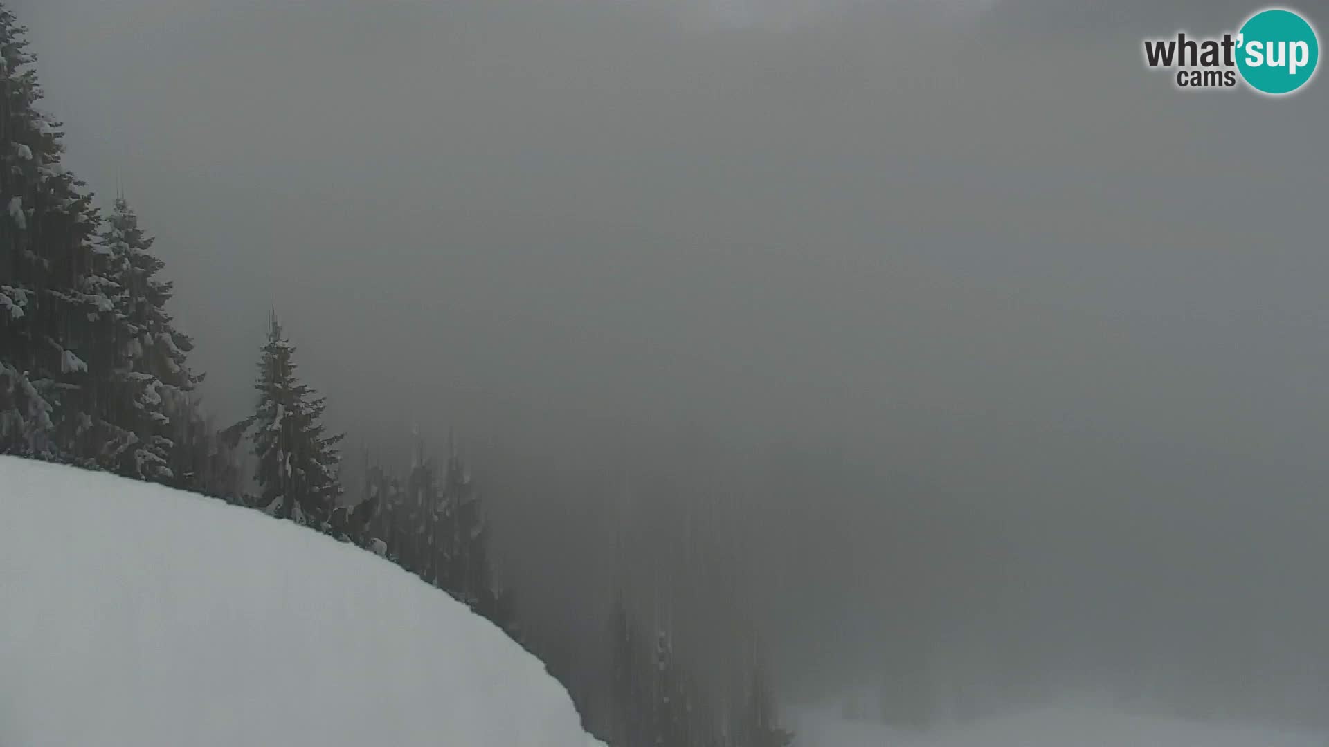 Vitranc Kranjska Gora webcam | VITRANC 1 stazione superiore