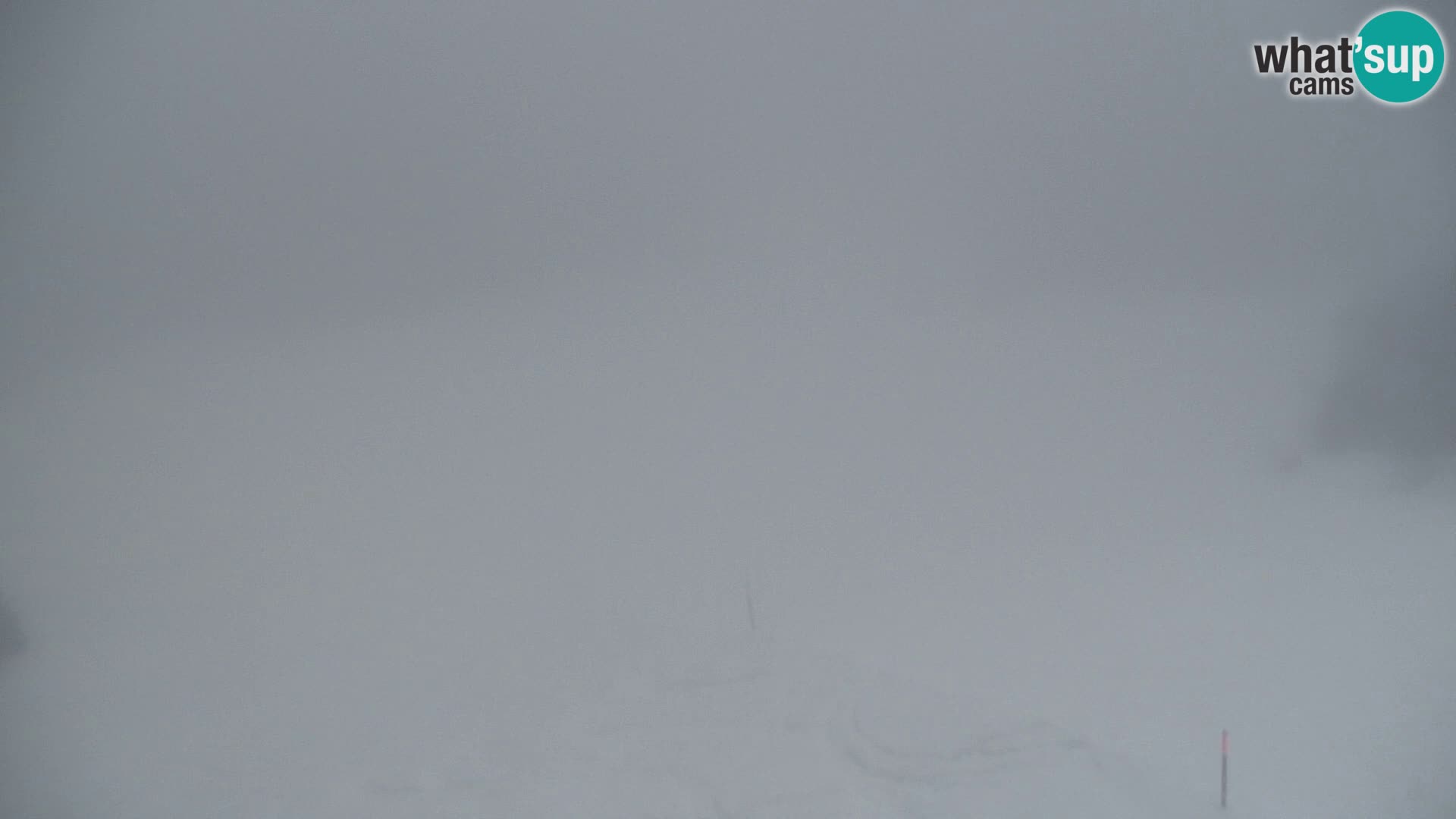 Vitranc Kranjska Gora webcam | VITRANC 1 stazione superiore