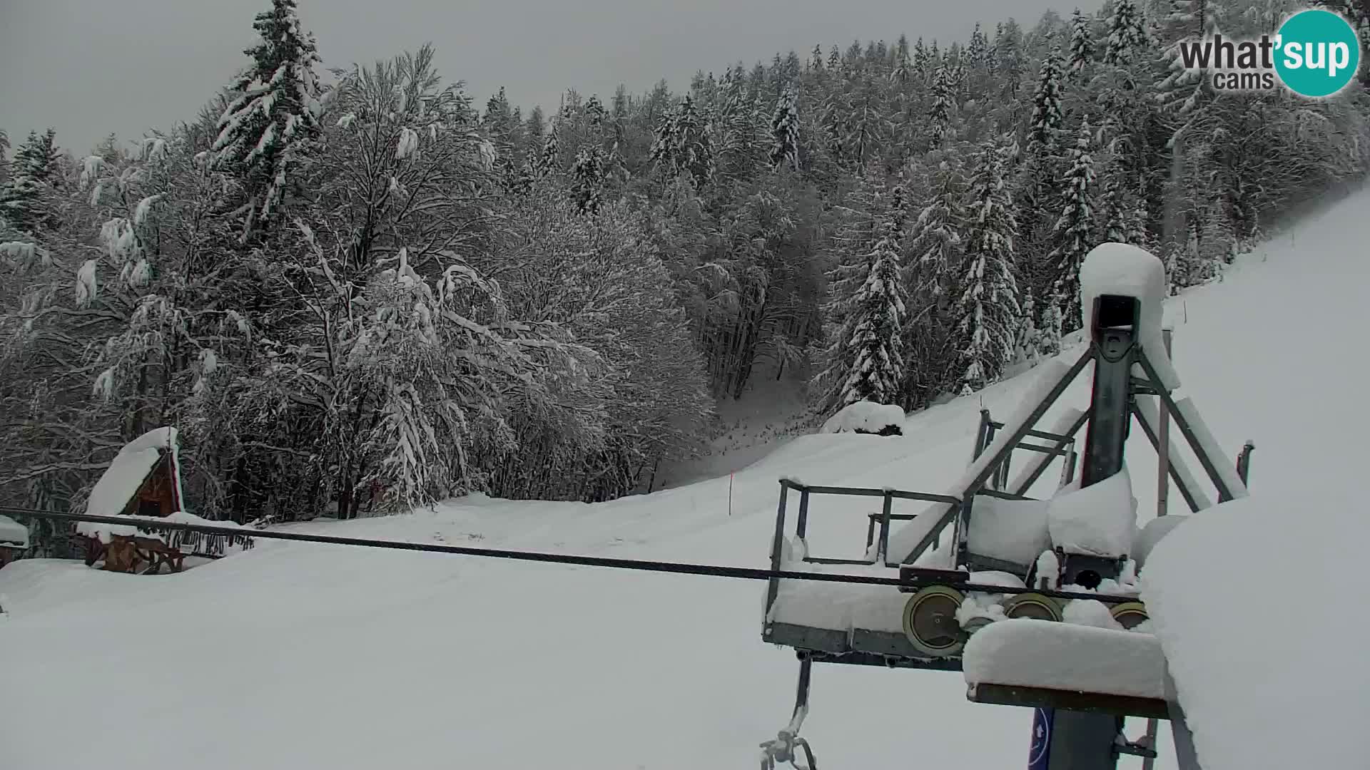 Estación de esquí Kranjska Gora | Estación superior VITRANC 1