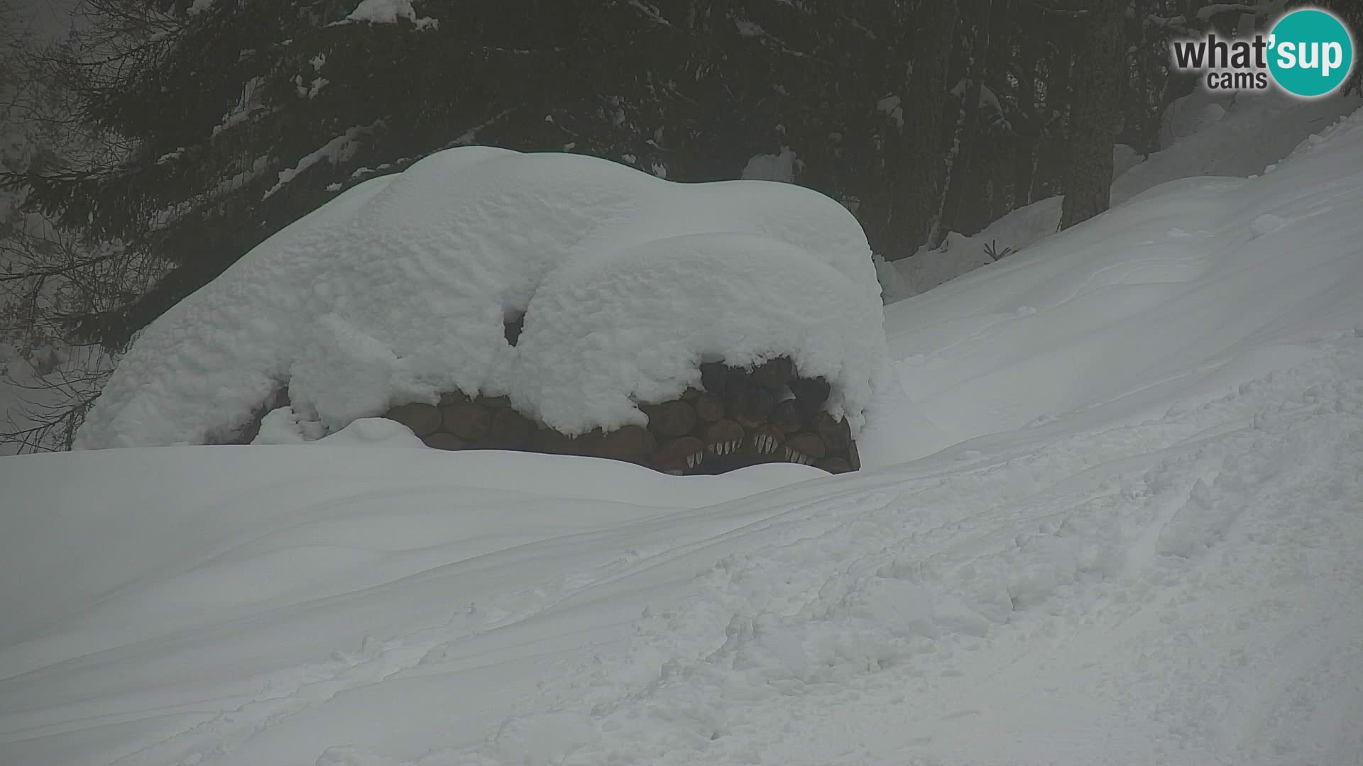 Kranjska Gora webcam VITRANC 1 | obere Station