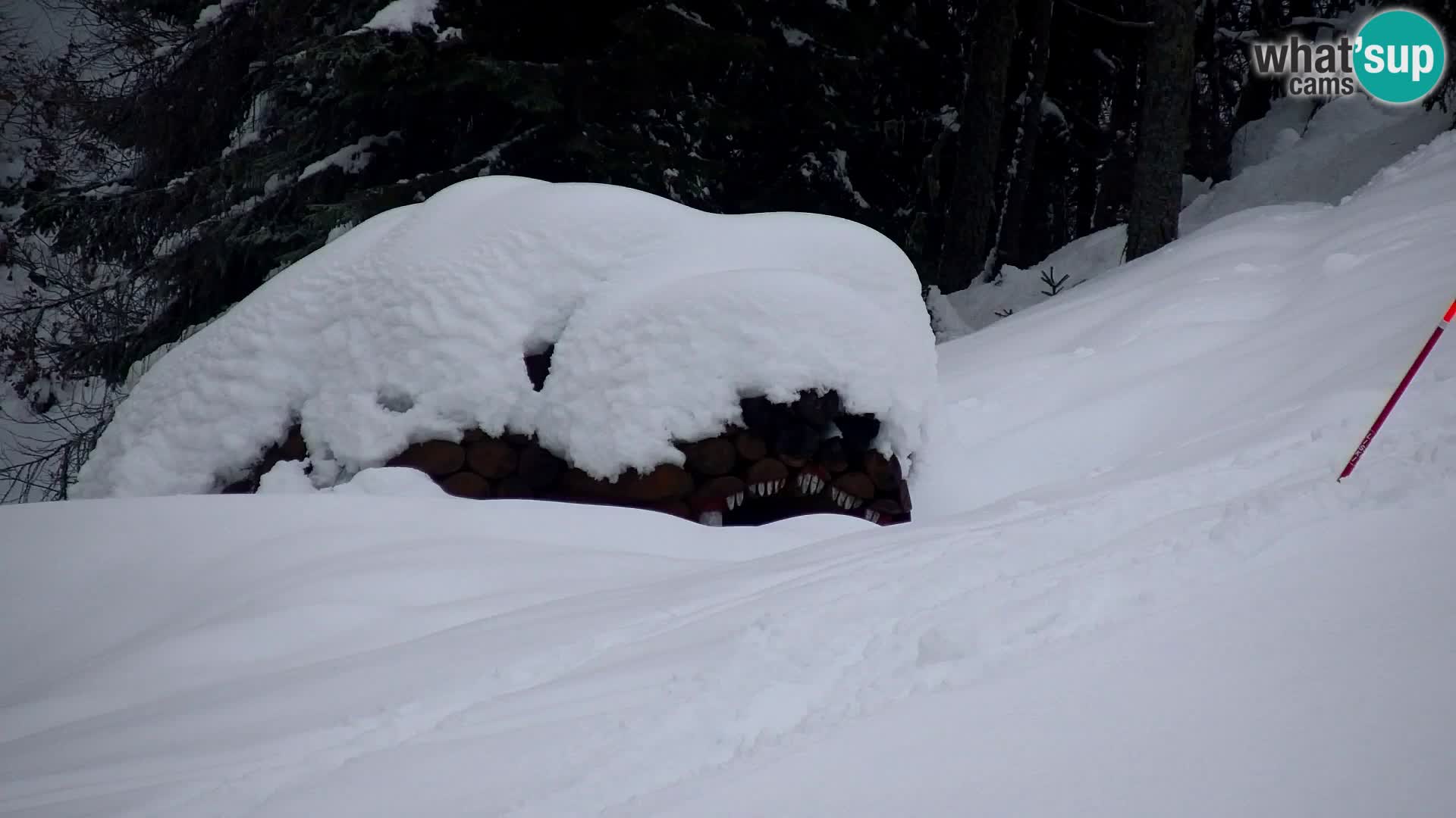 Vitranc Kranjska Gora webcam | VITRANC 1 stazione superiore