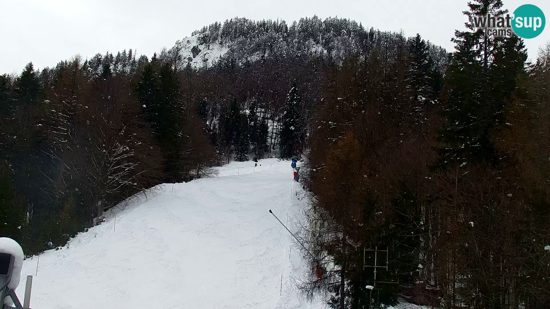 Vitranc Kranjska Gora webcam | VITRANC 1 stazione superiore