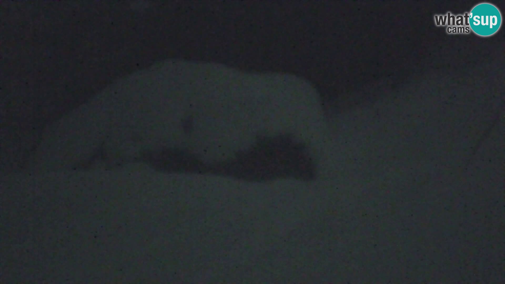 Vitranc Kranjska Gora webcam | VITRANC 1 stazione superiore