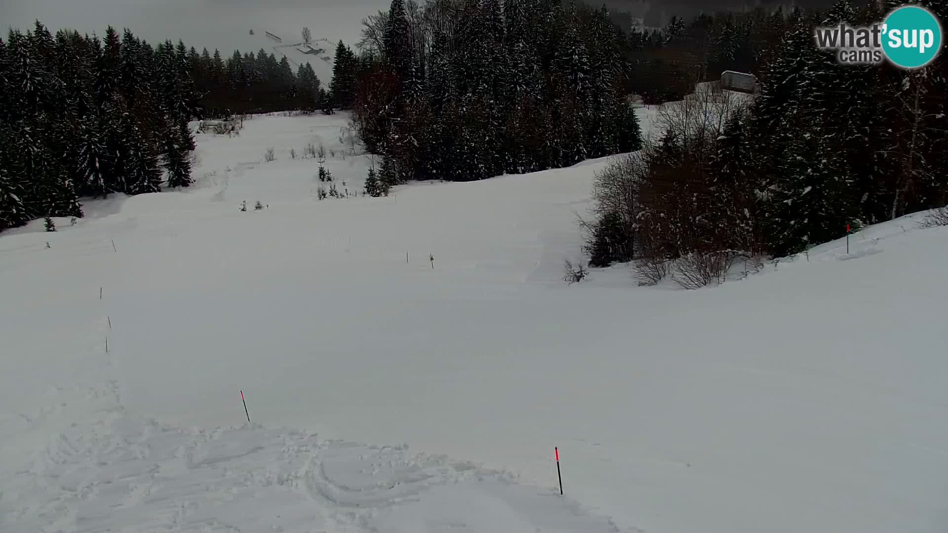 Kranjska Gora livecam VITRANC 1 | estación superior