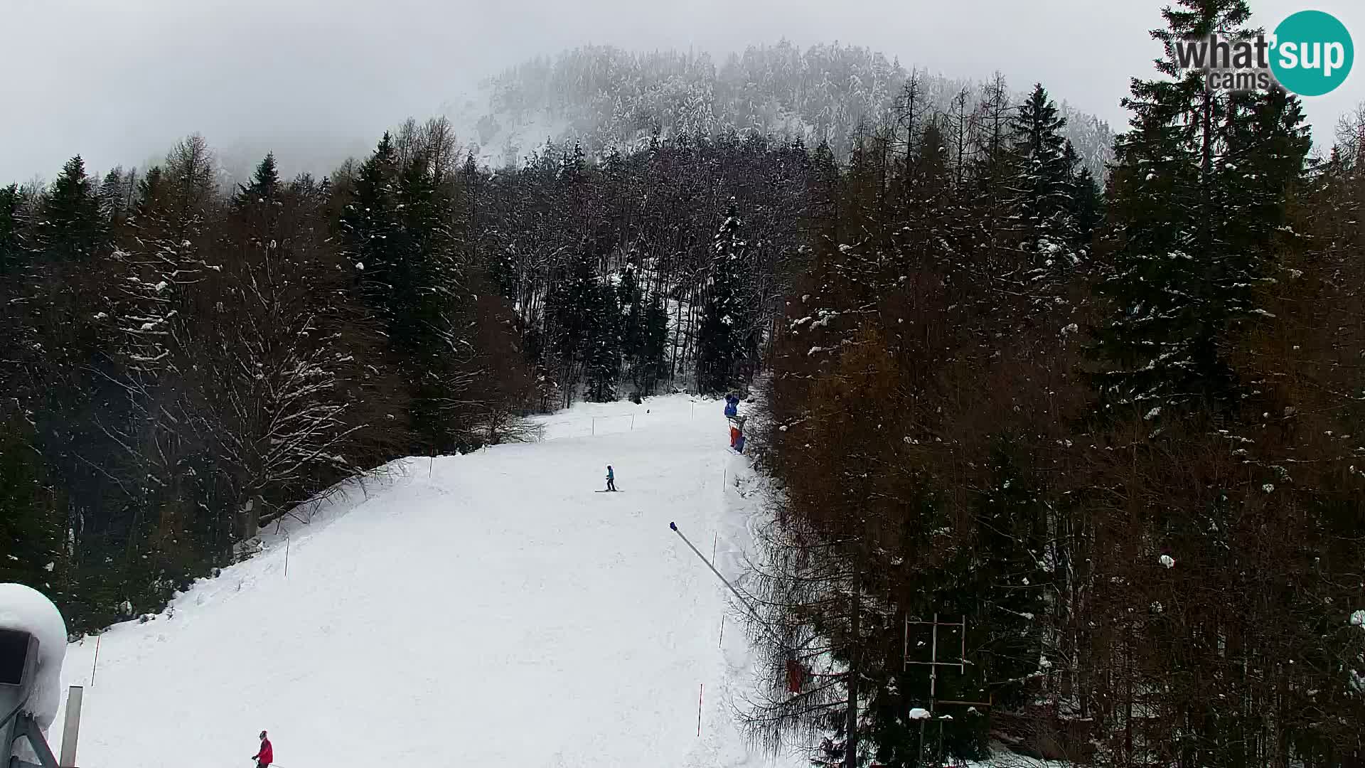 Estación de esquí Kranjska Gora | Estación superior VITRANC 1