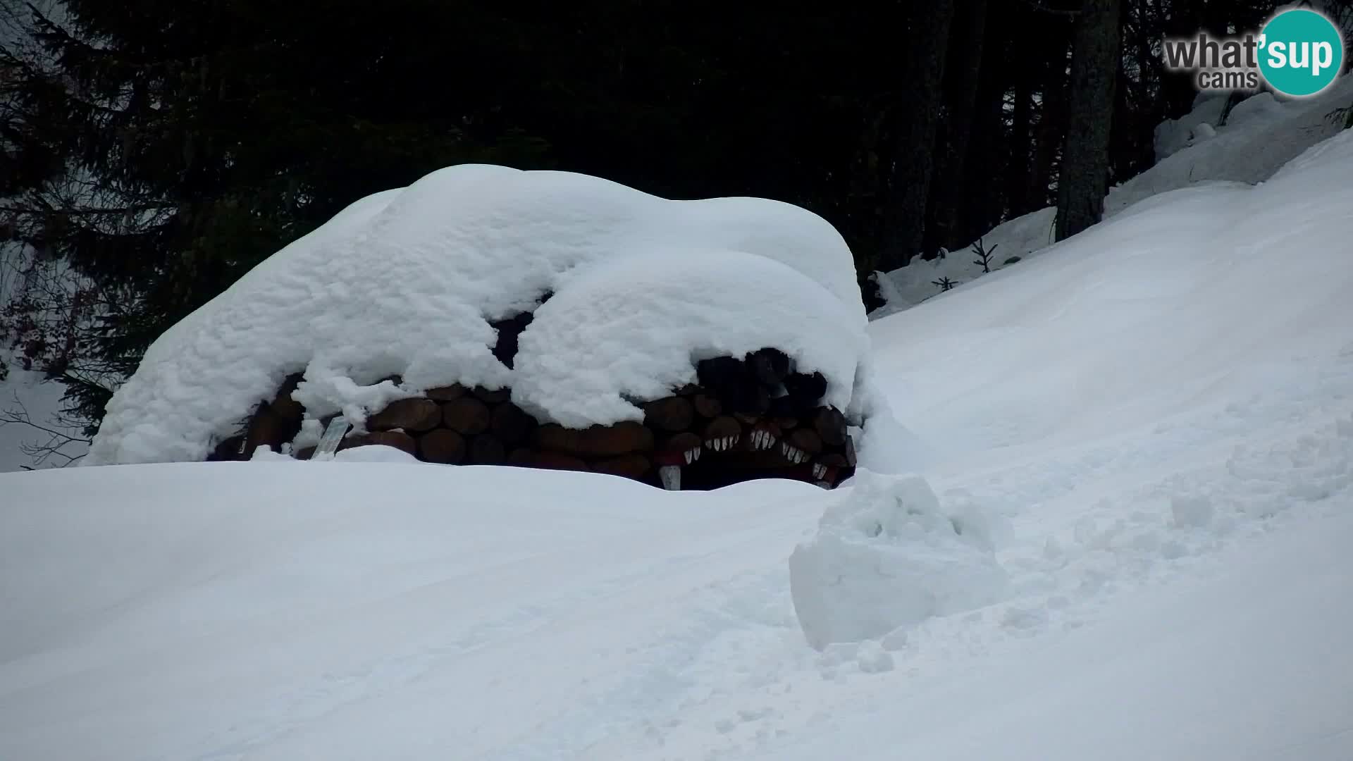 Vitranc Kranjska Gora webcam | VITRANC 1 stazione superiore