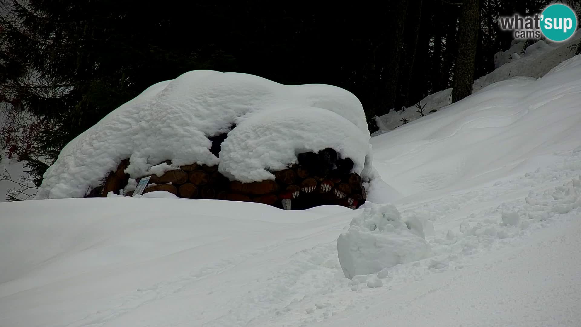 Kranjska Gora web kamera Vitranc | VITRANC 1 gornja postaja